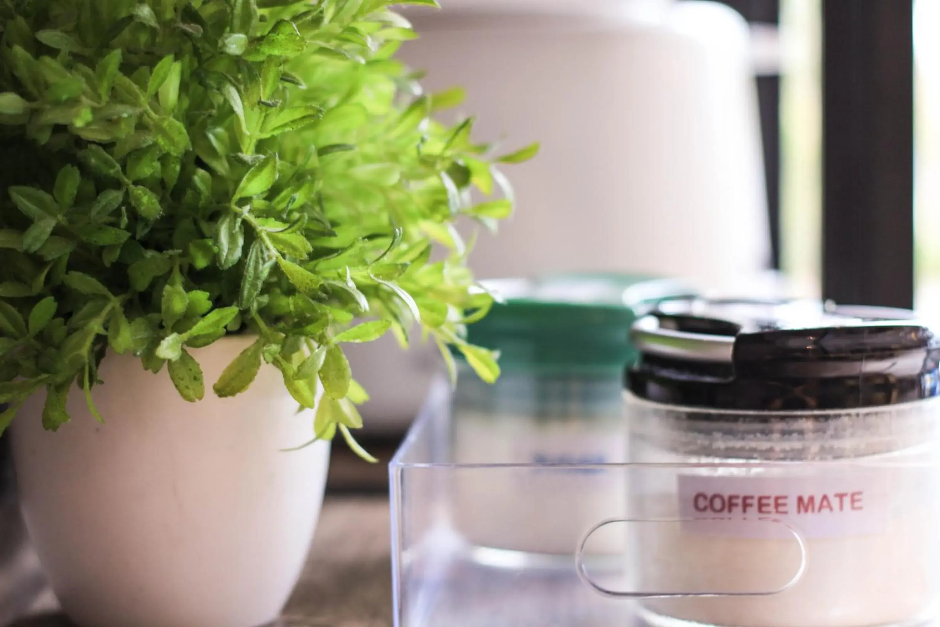 Lobby or reception in Vipa House Phuket - SHA Extra Plus Lobby or reception in Vipa House Phuket - SHA Extra Plus