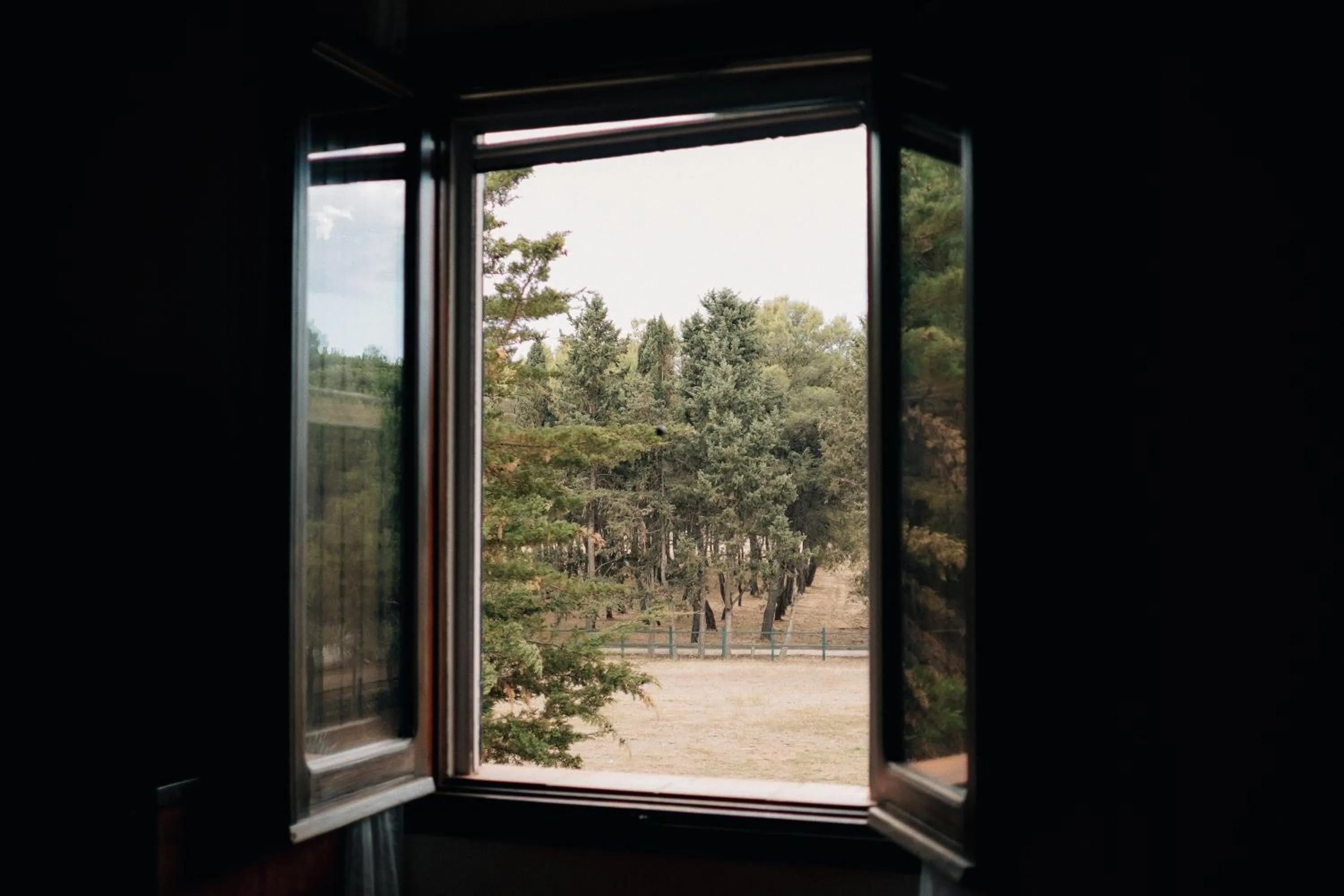 View (from property/room) in Masseria La Camardia