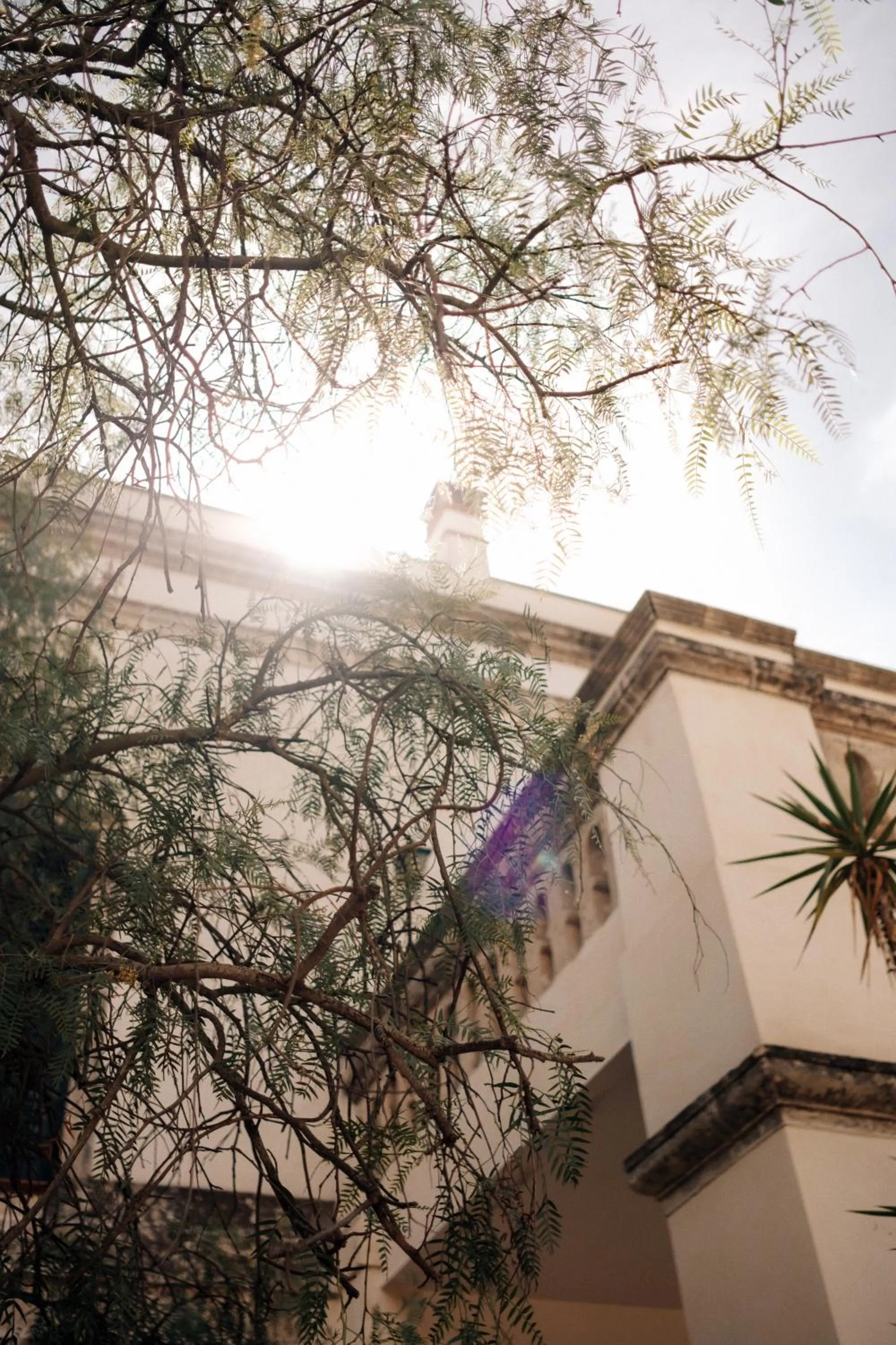 Property building in Masseria La Camardia