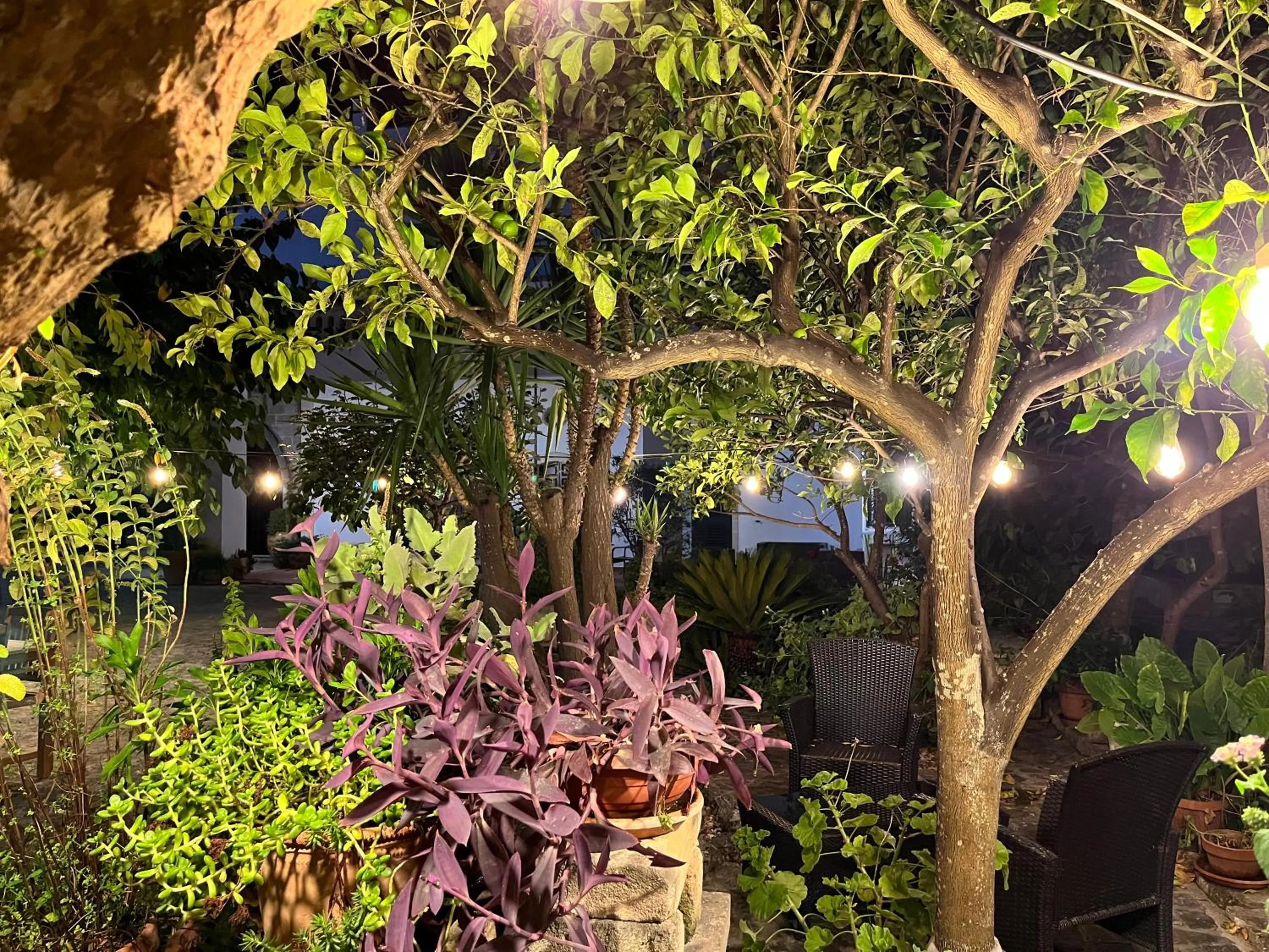 Garden in Masseria La Camardia