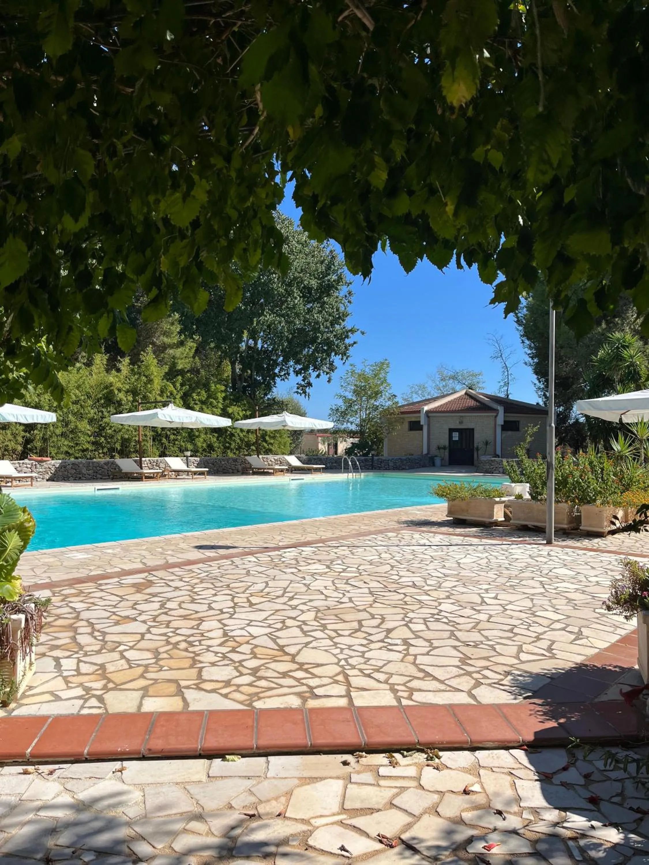 Swimming pool in Masseria La Camardia
