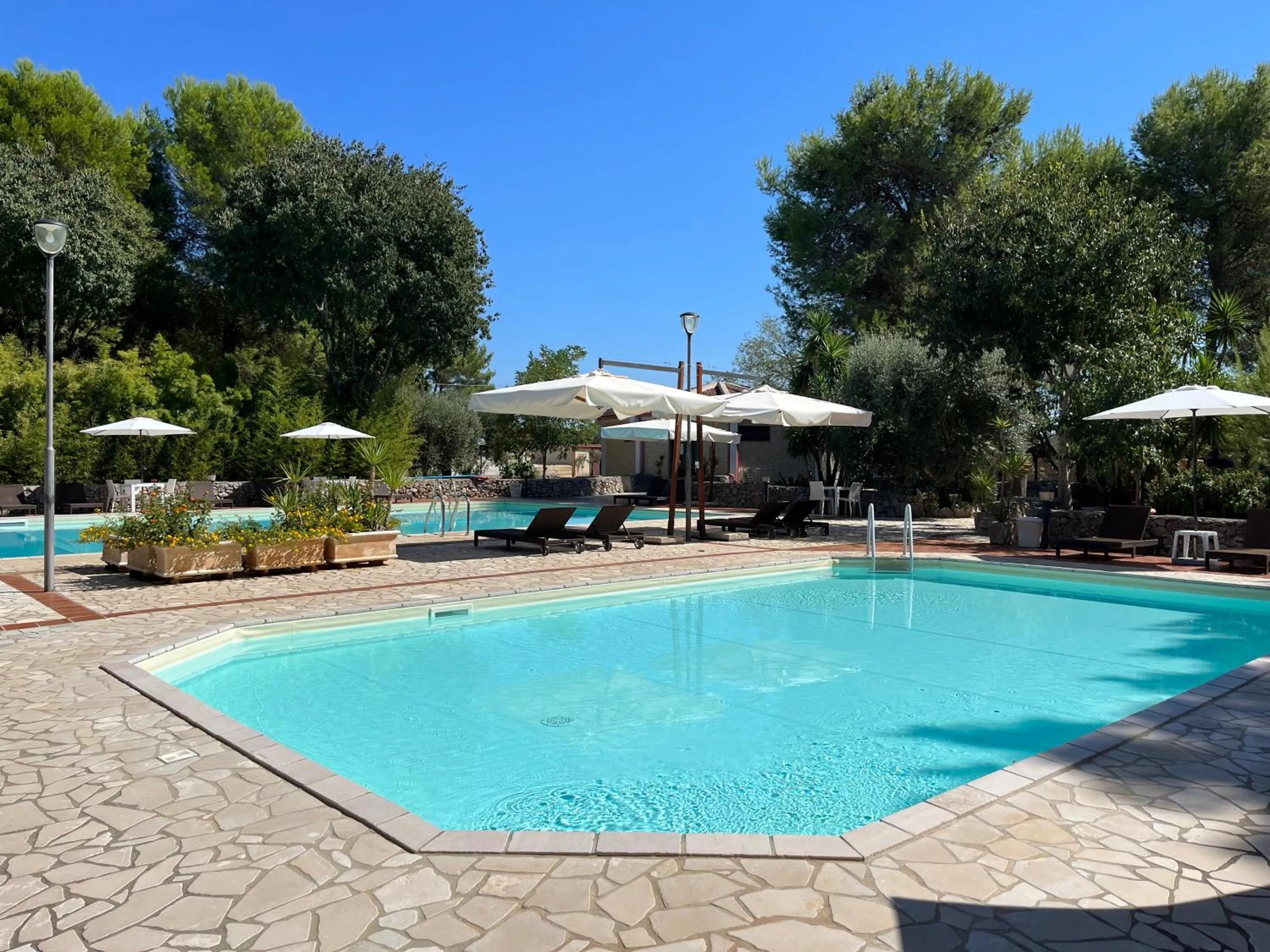 Swimming pool in Masseria La Camardia
