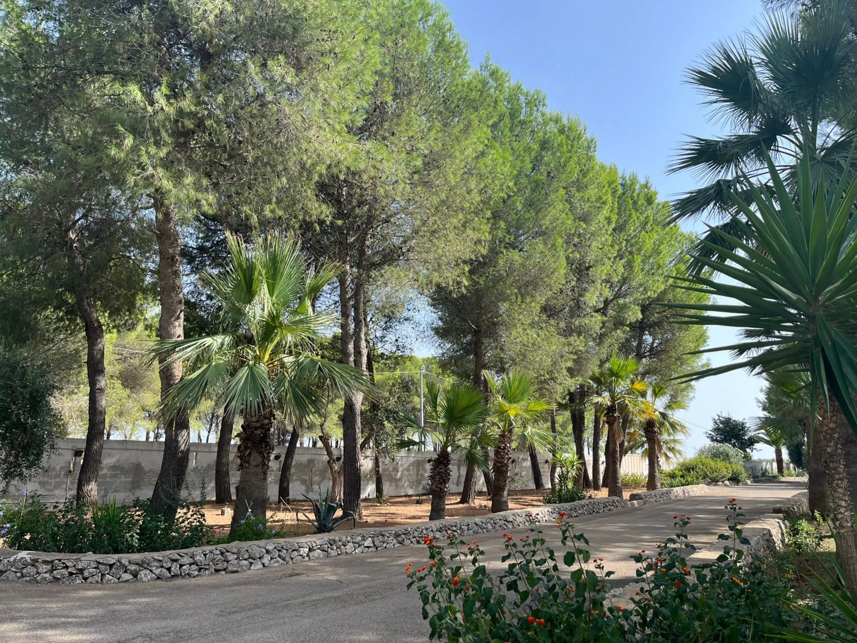 Garden in Masseria La Camardia