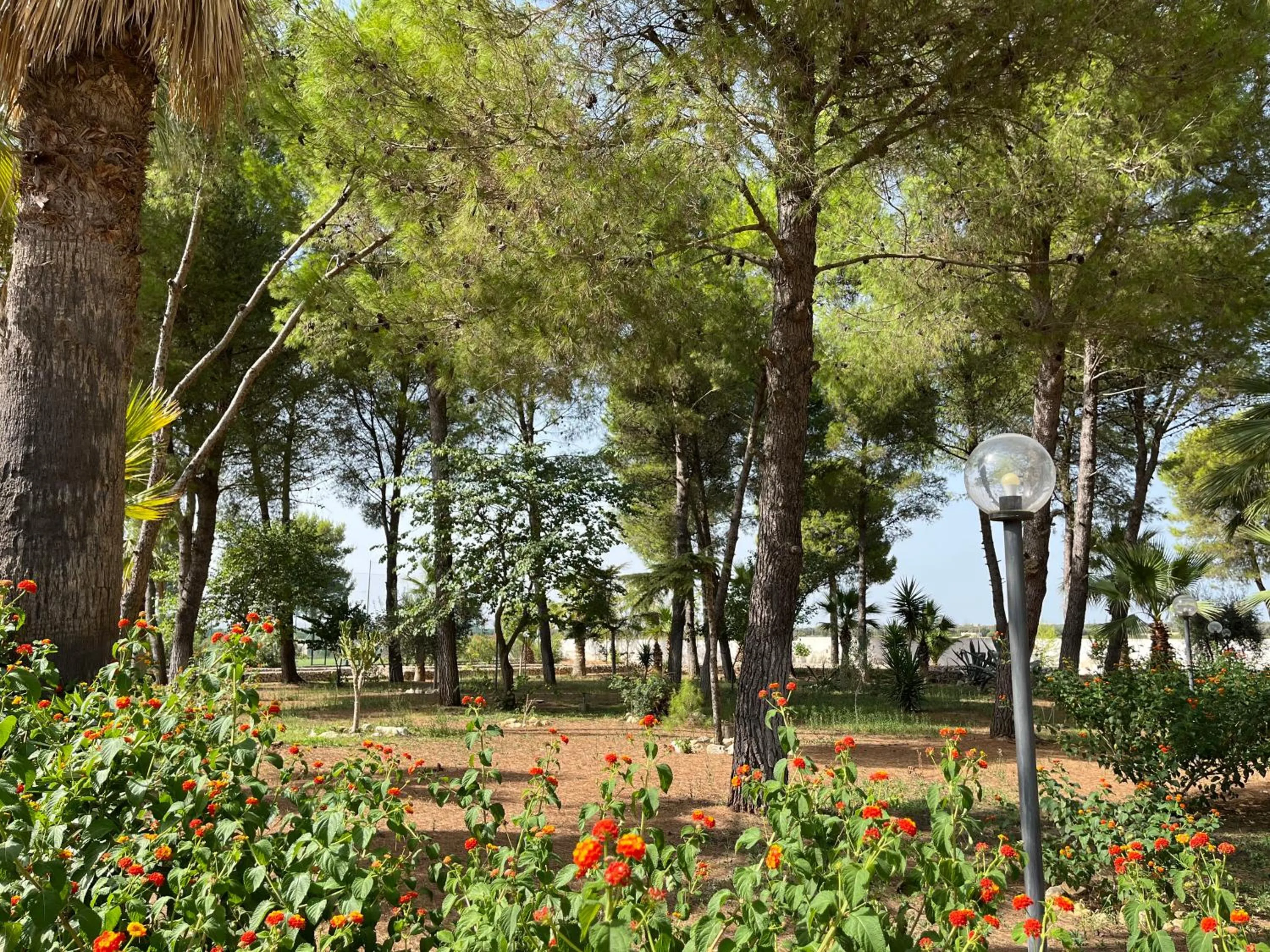 Garden in Masseria La Camardia