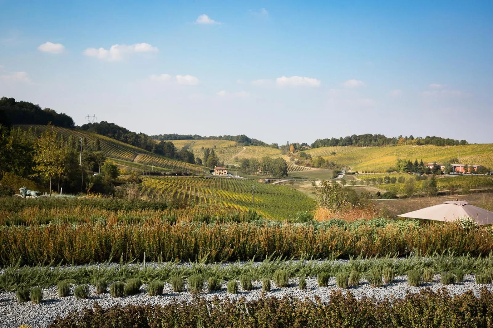 Garden in Locanda La Raia