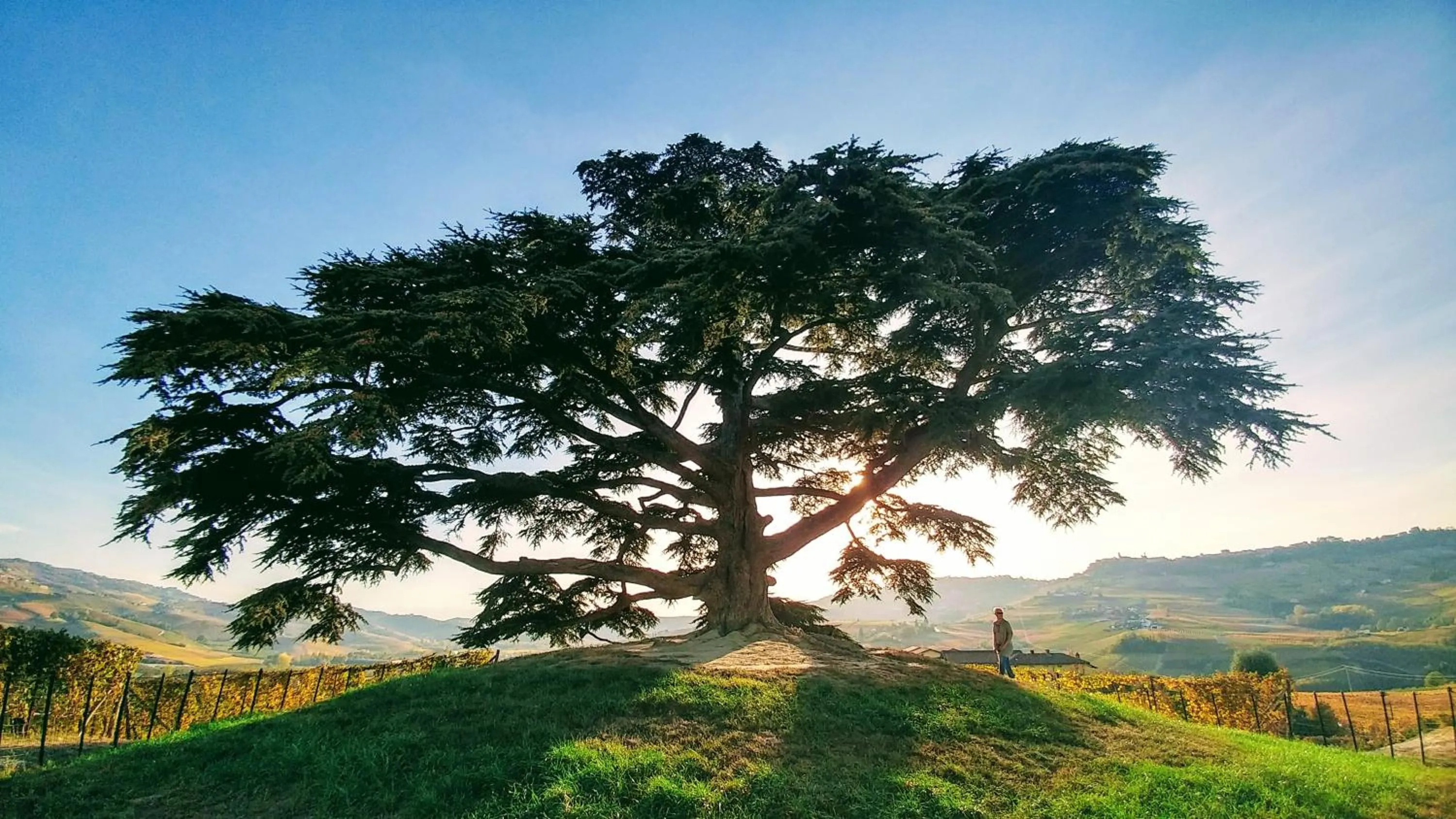 Natural landscape in Agrisuite Il Cedro