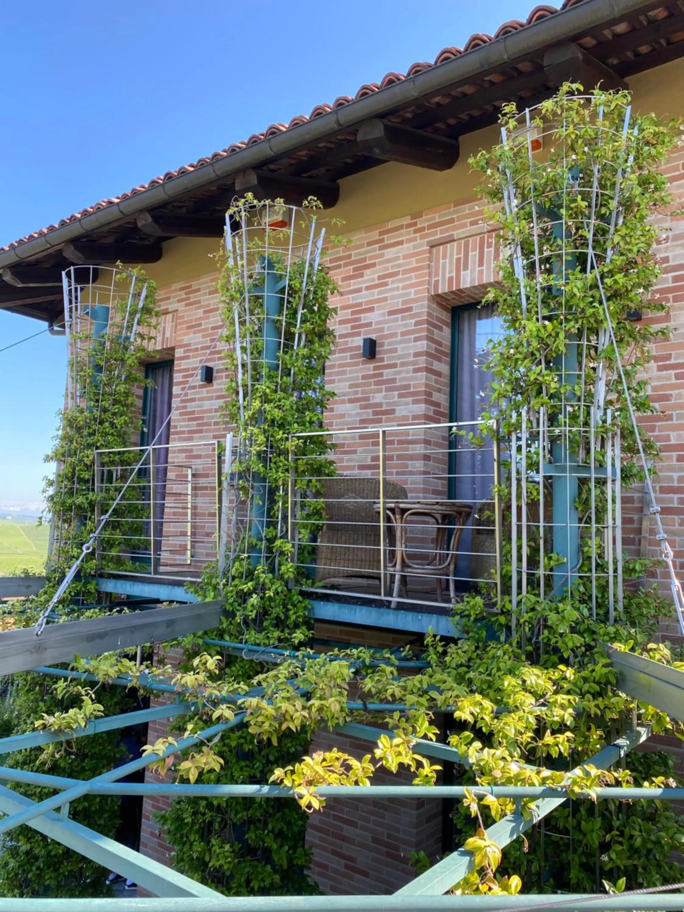 Agrisuite Il Cedro