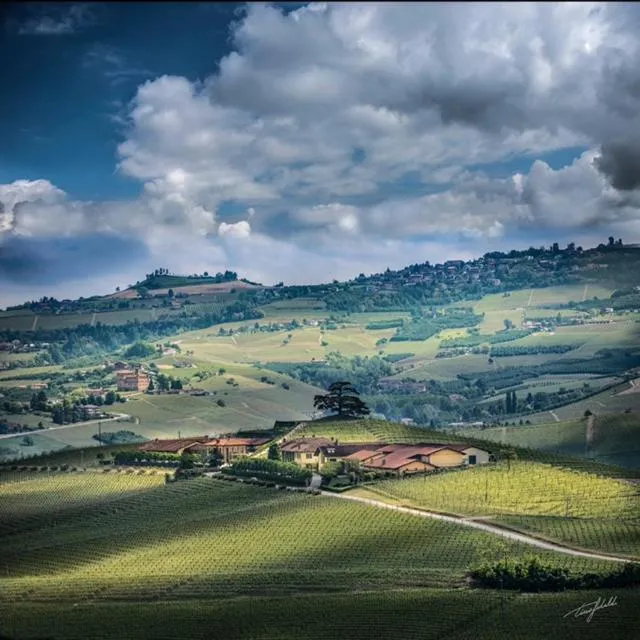 Agrisuite Il Cedro
