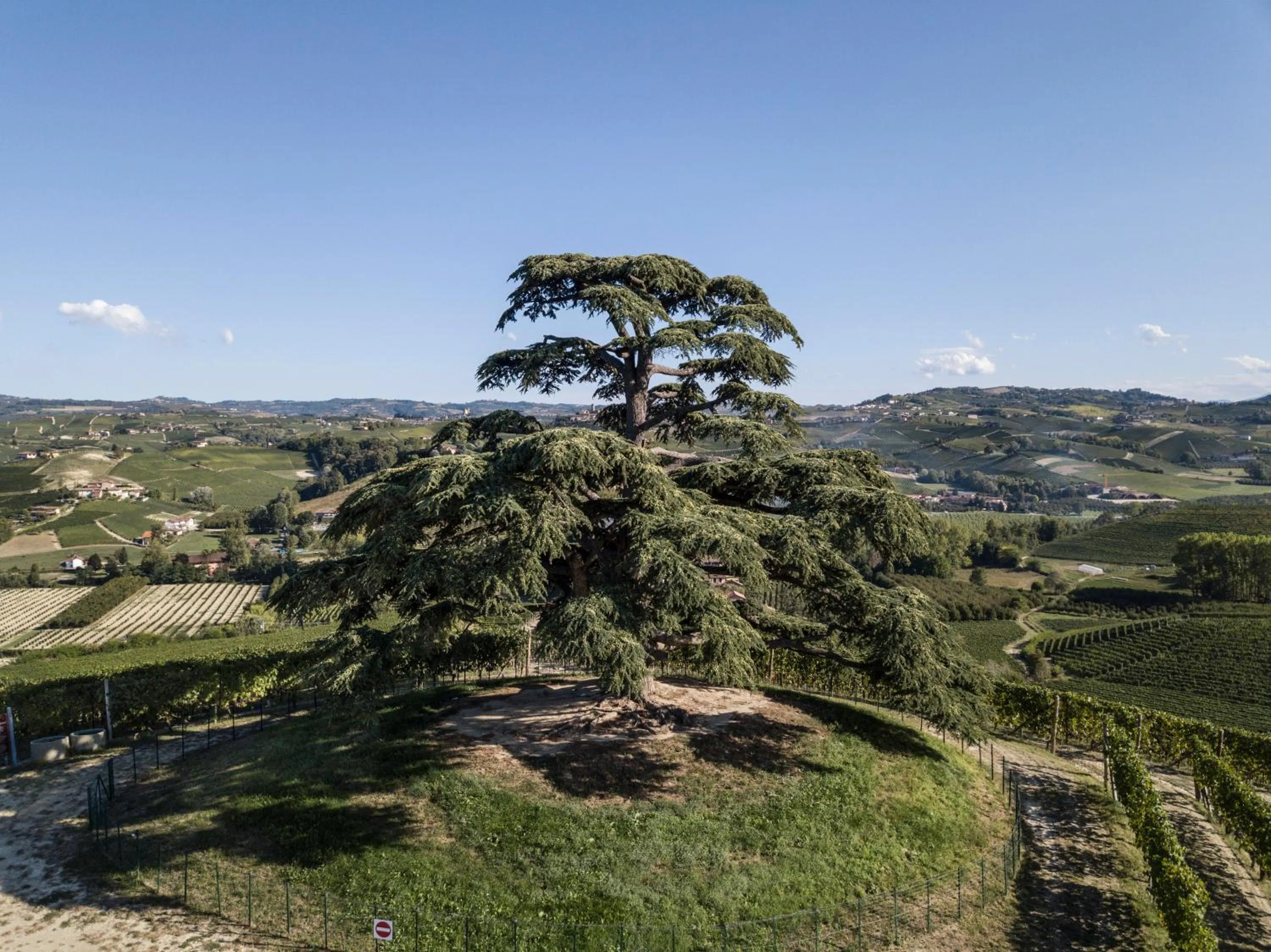 Agrisuite Il Cedro