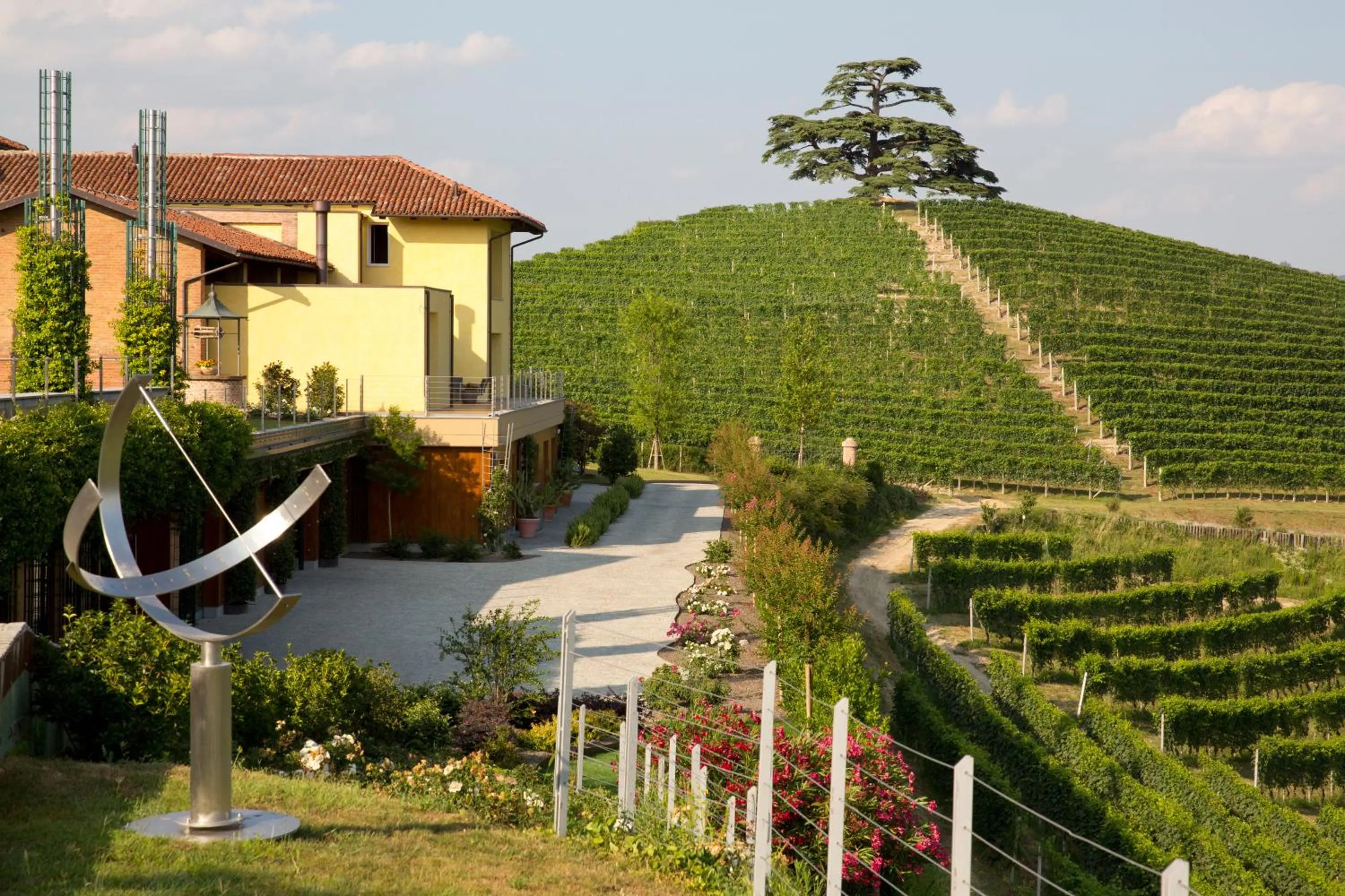 View (from property/room) in Agrisuite Il Cedro