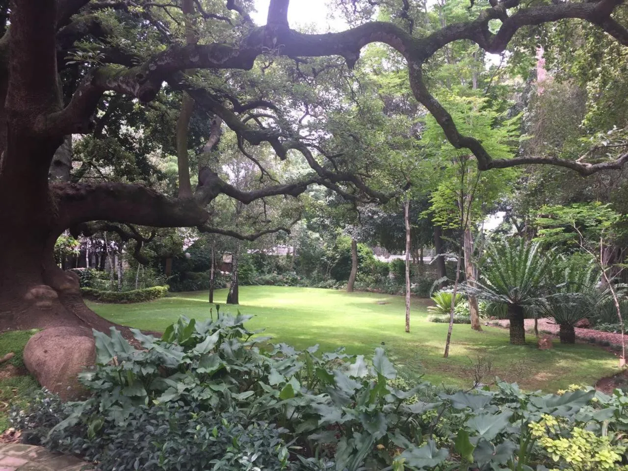 Patio in Hoeveld House