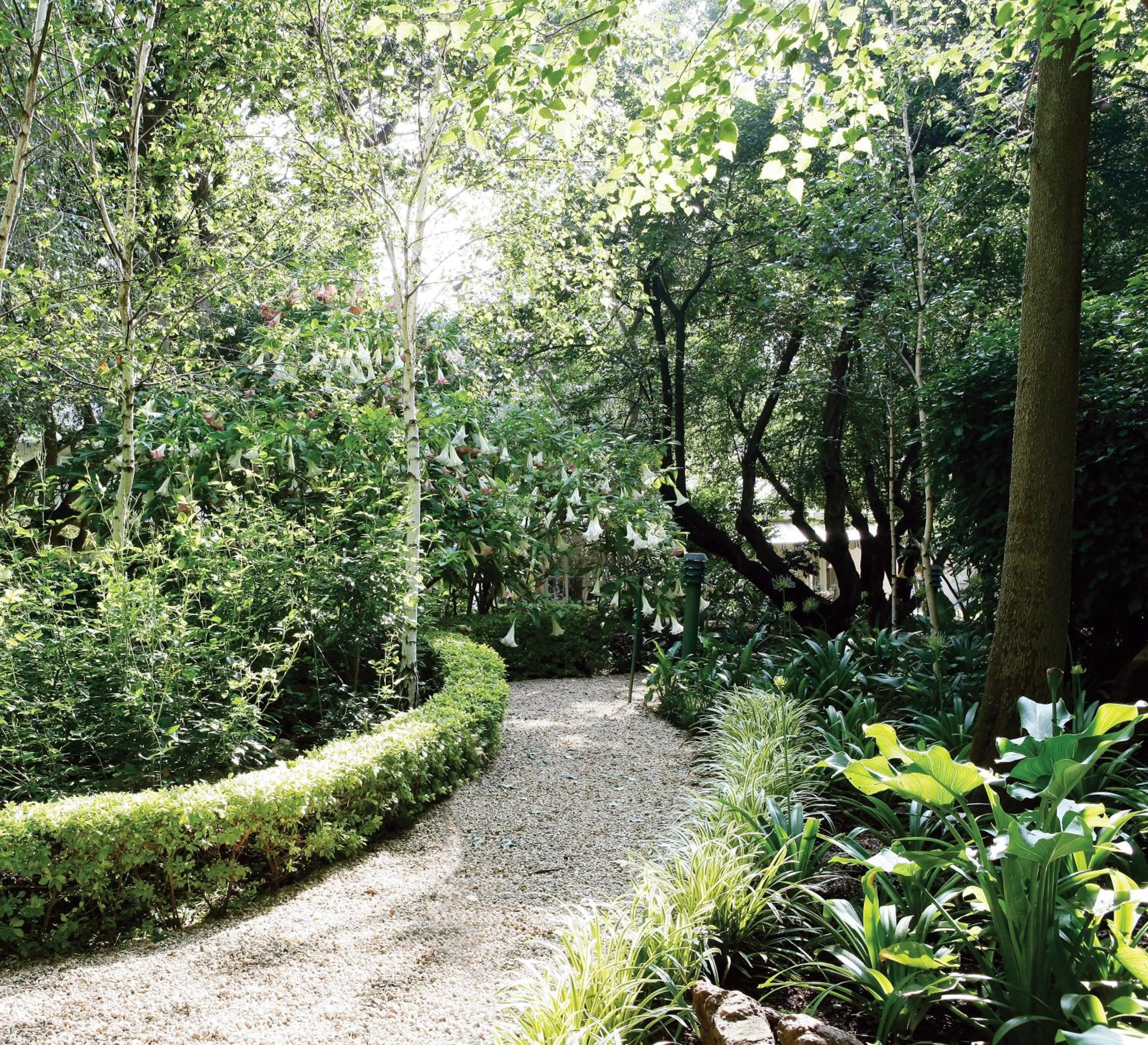 Patio in Hoeveld House