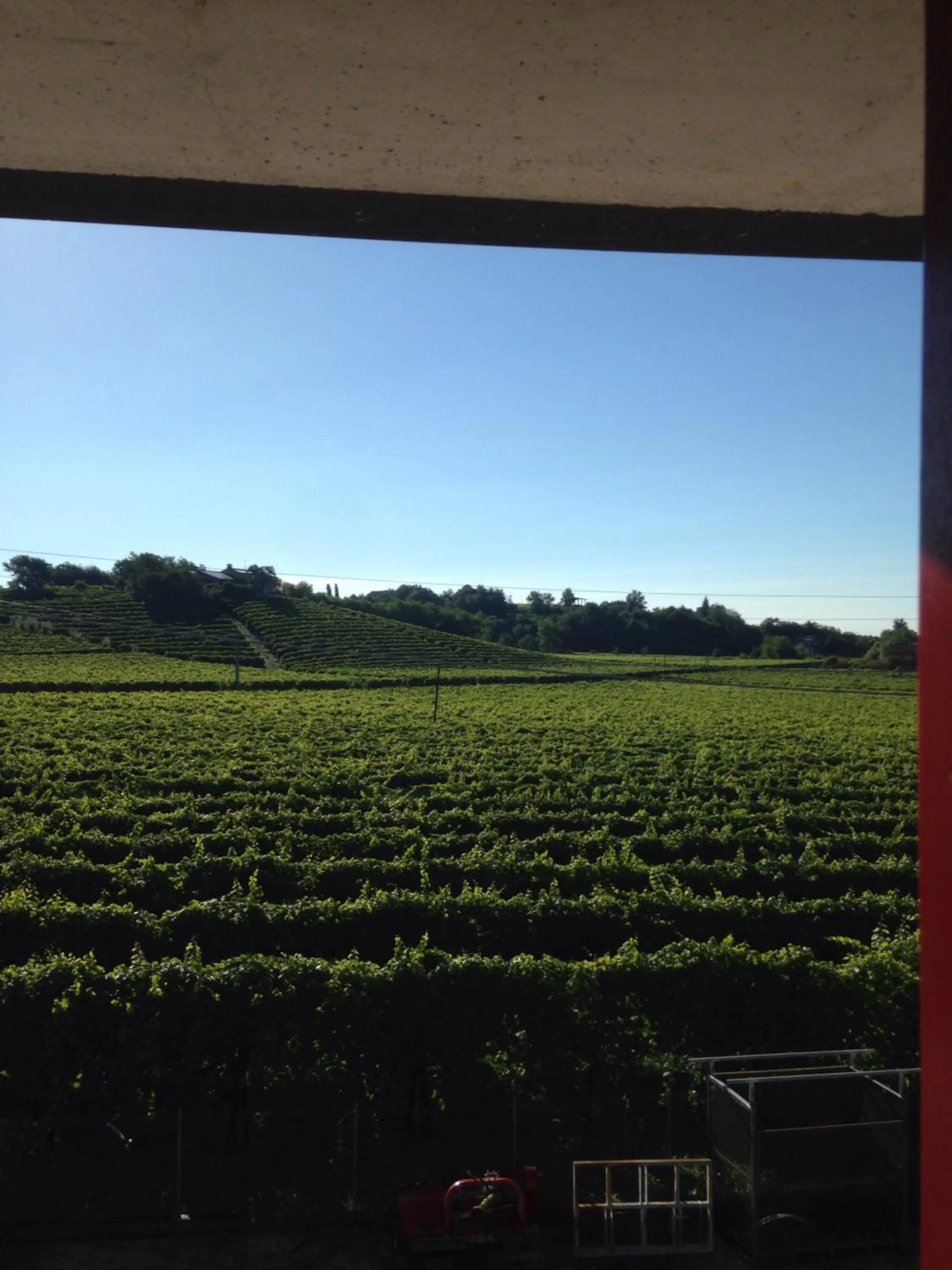 B&B Zanin di Zanin Mauro