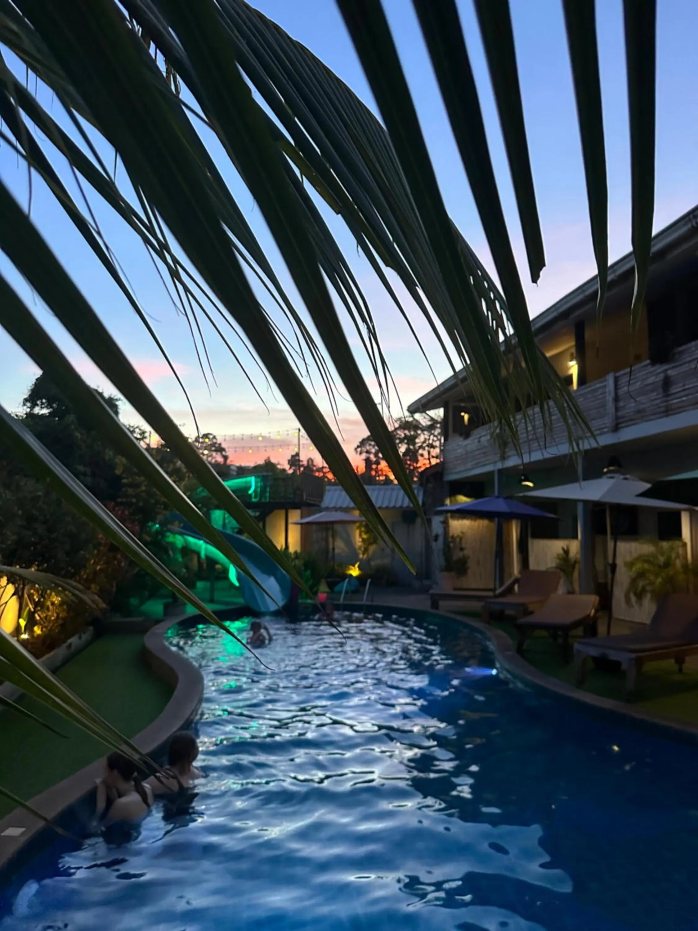 Pool view in Samui Zenity
