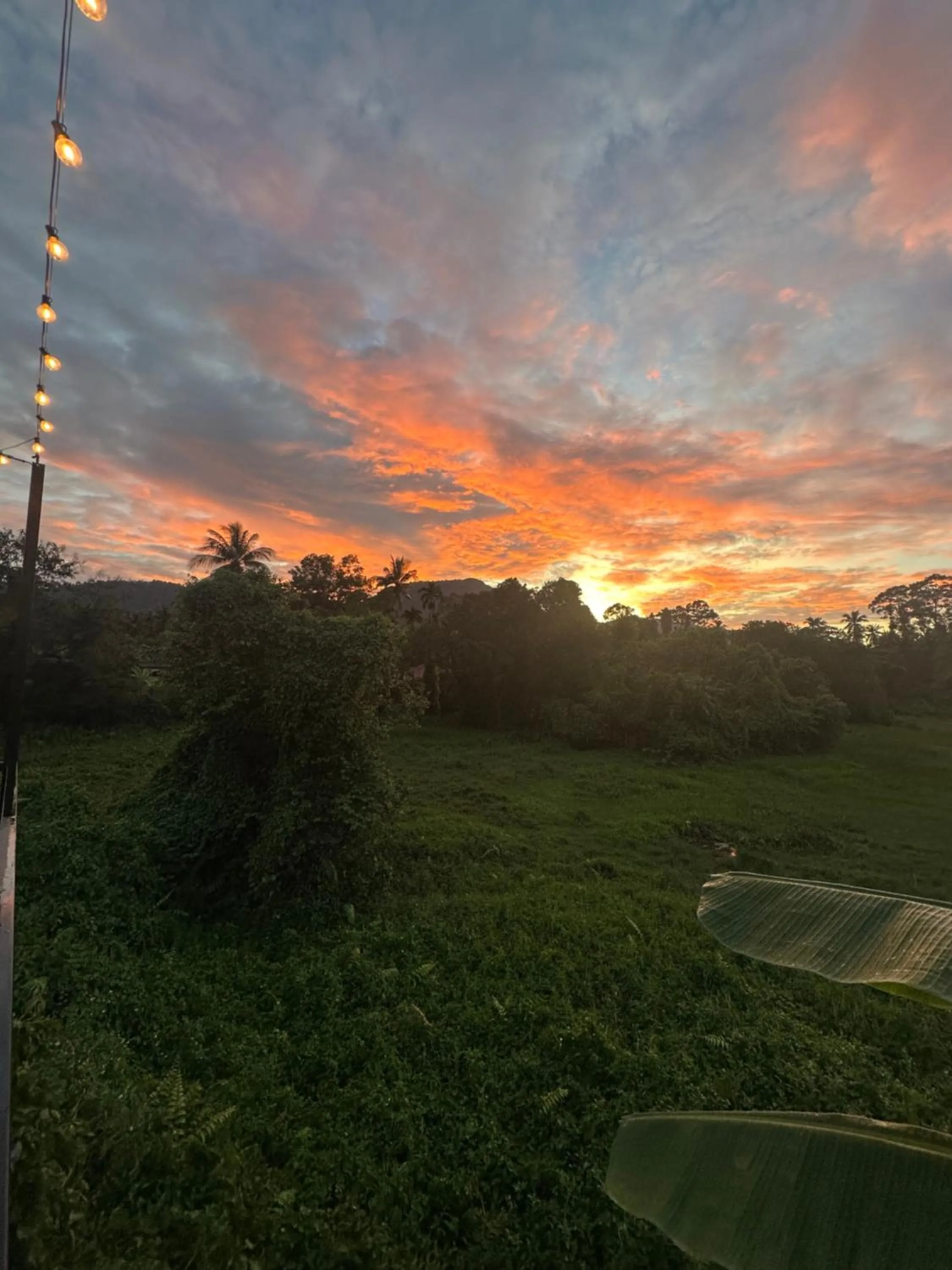 Mountain view in Samui Zenity