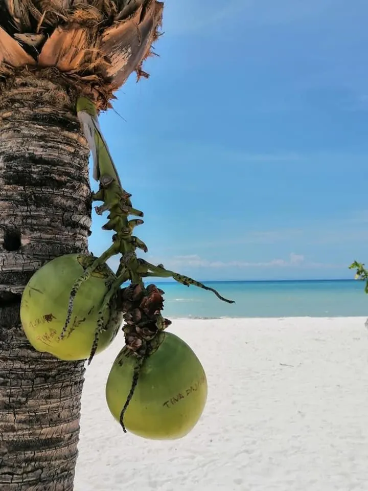 Natural landscape in Sf Cantina