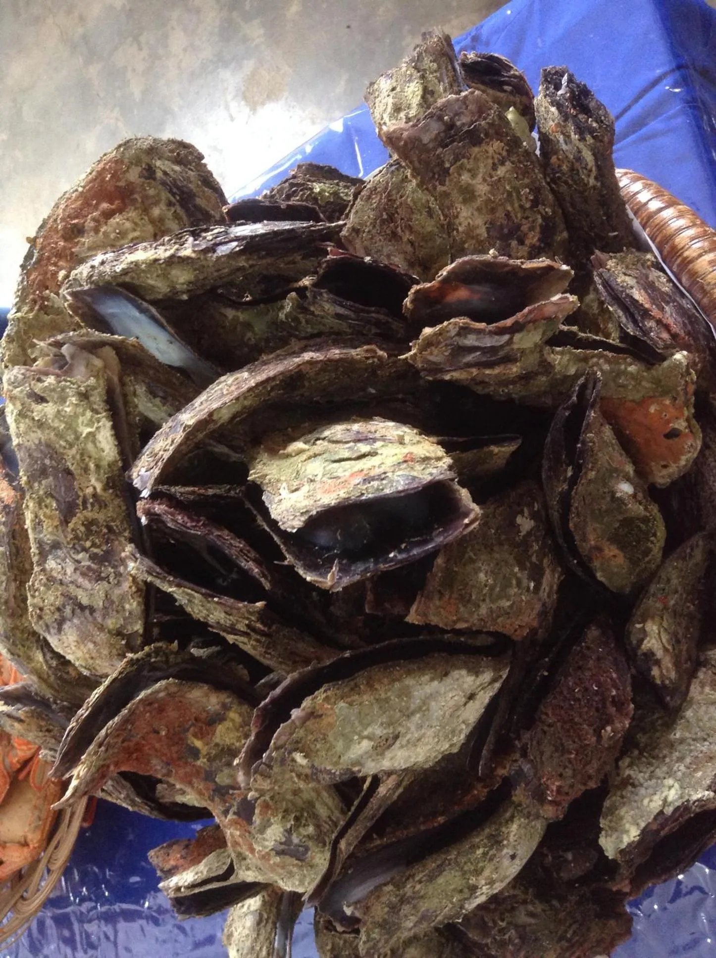 Food and drinks in Sf Cantina