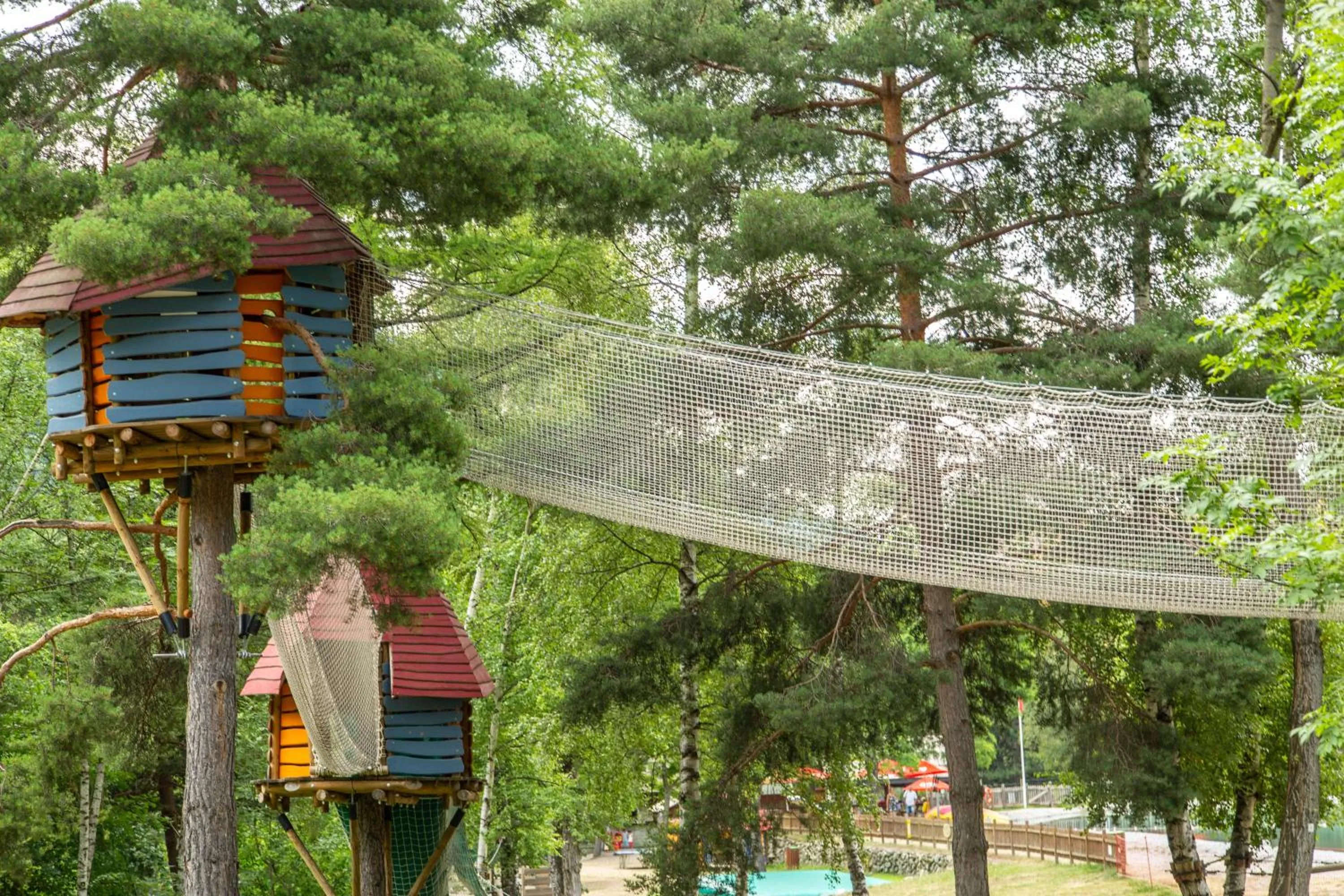 Activities in Le Rabuons