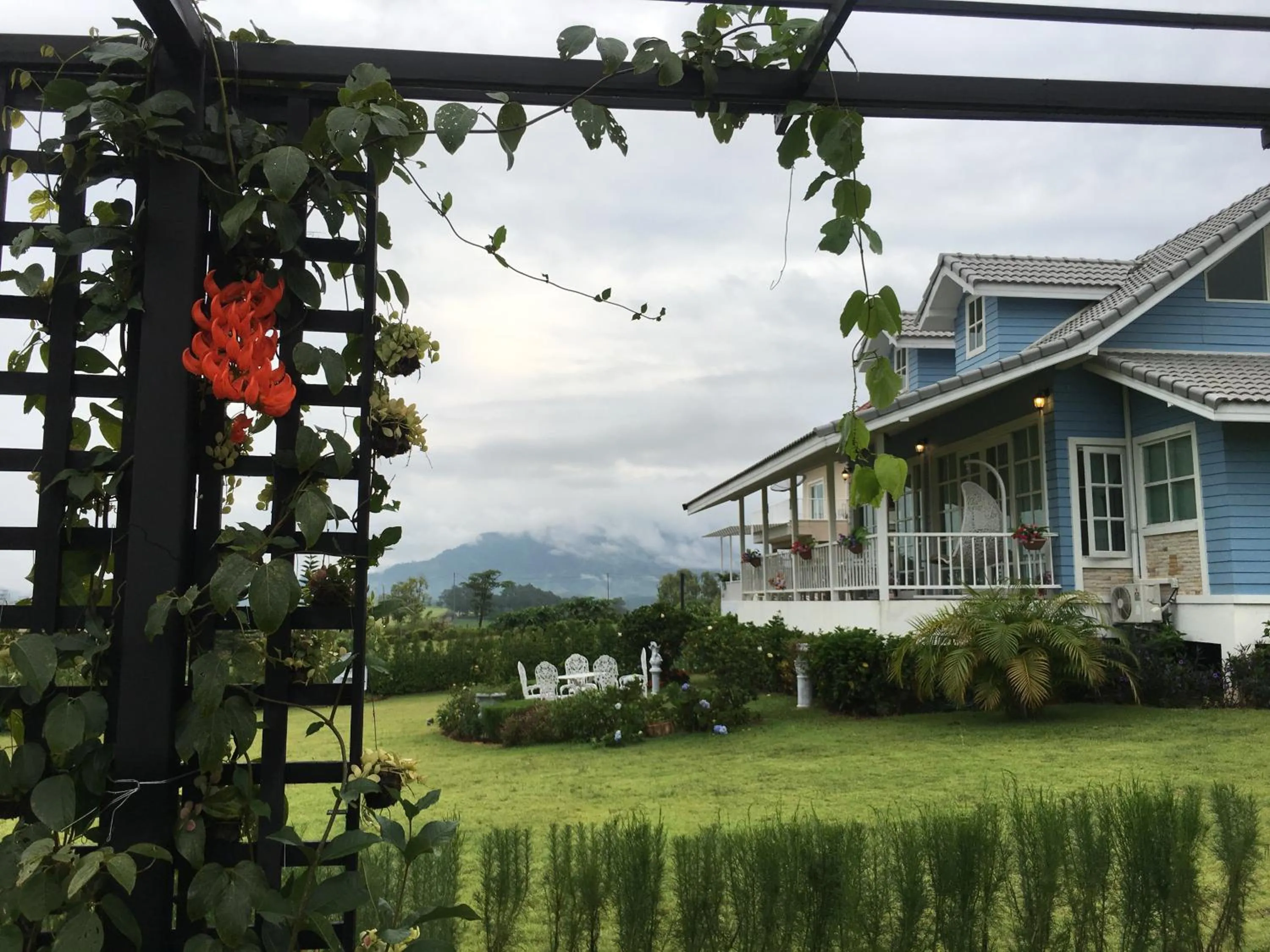 Misty English Cottage