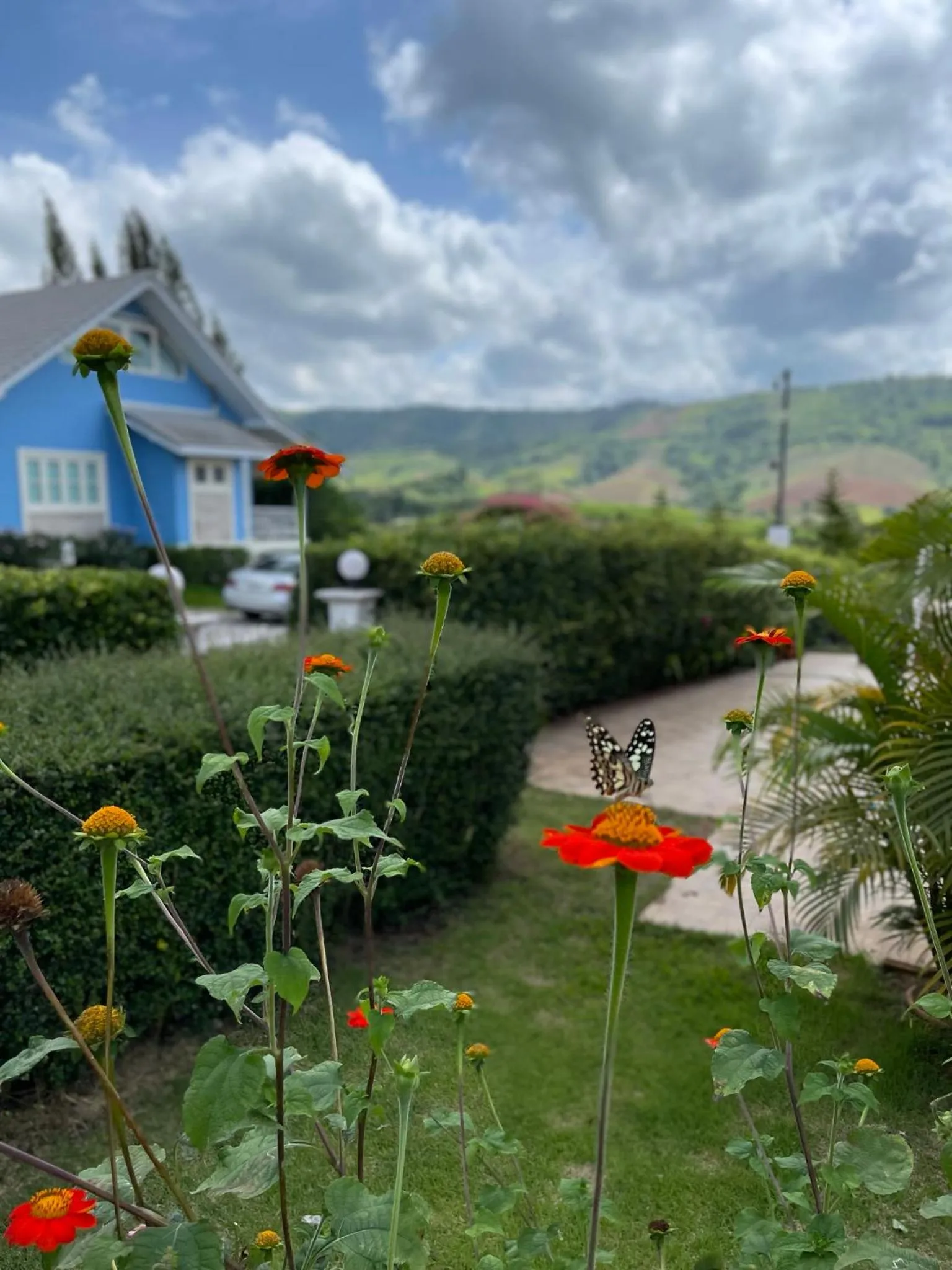 Misty English Cottage