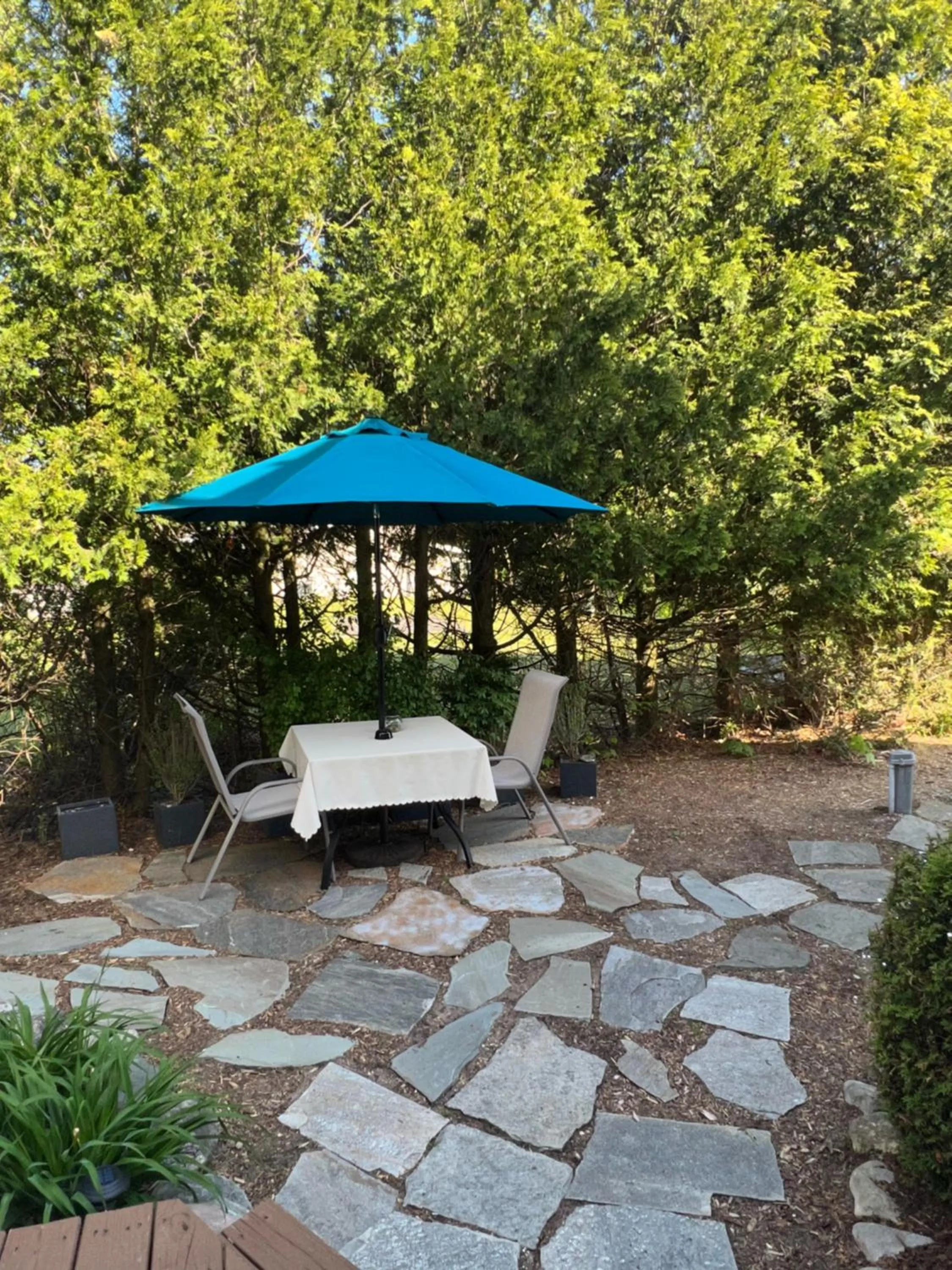 The Torch Lake Bed and Breakfast