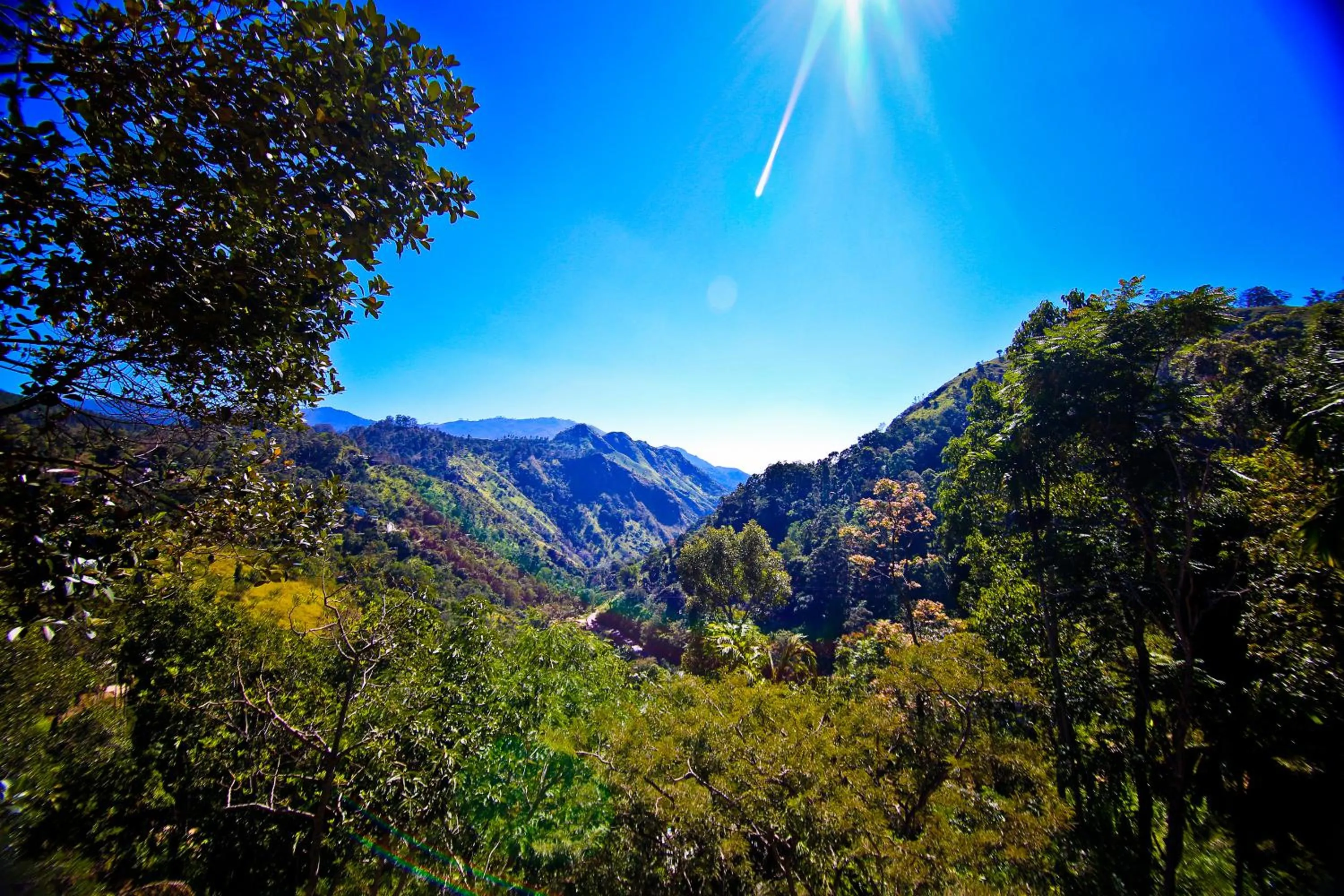 View (from property/room) in Ella Alpine Resort