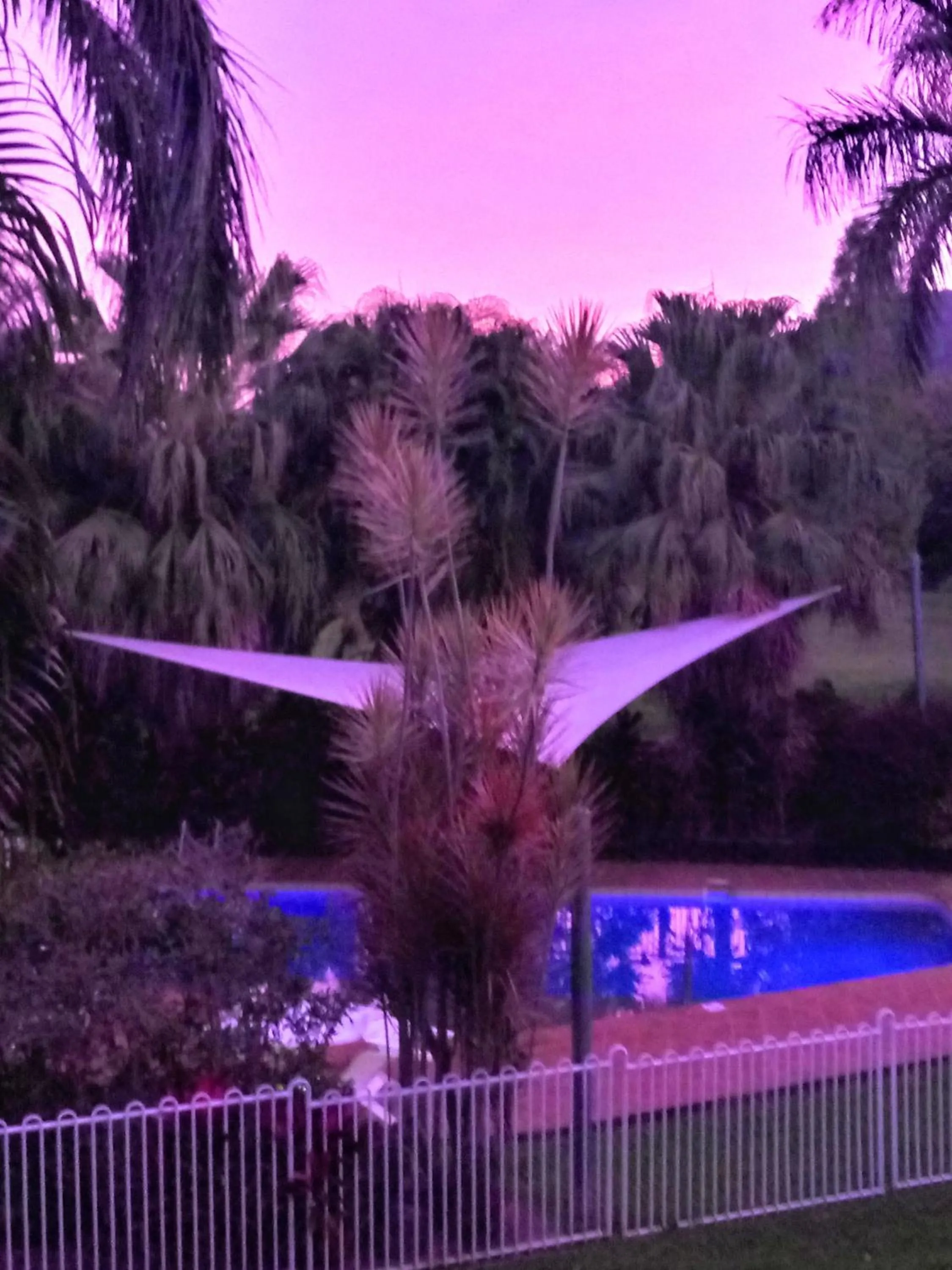 Garden in Paradise in the Tropics