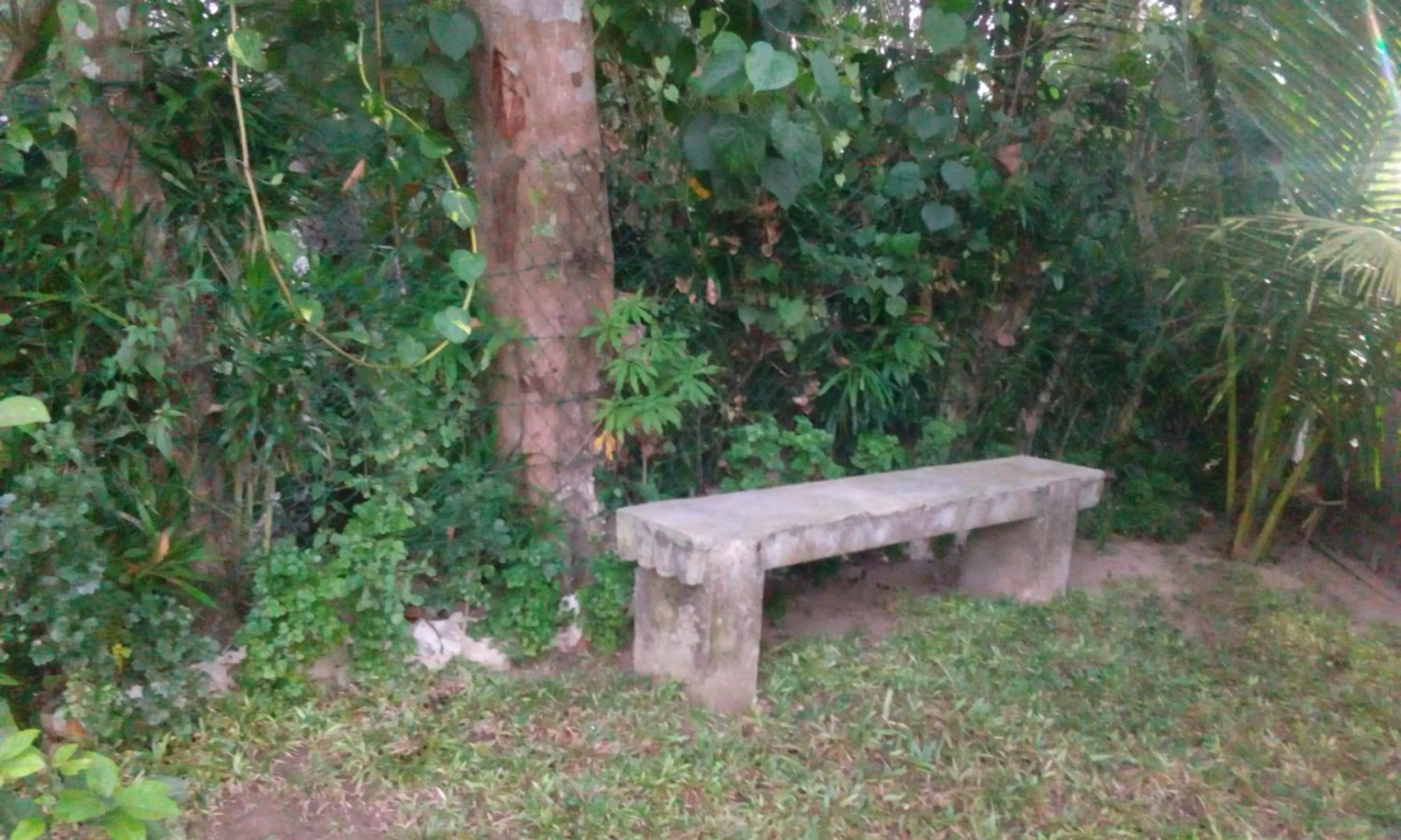 Villa Agrico and Surf Guest