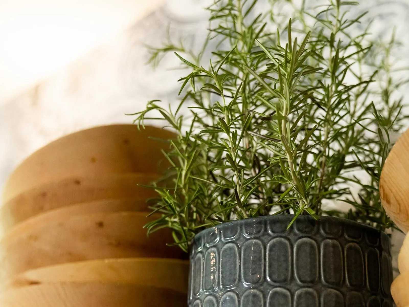 Decorative detail in Hotel Auszeit