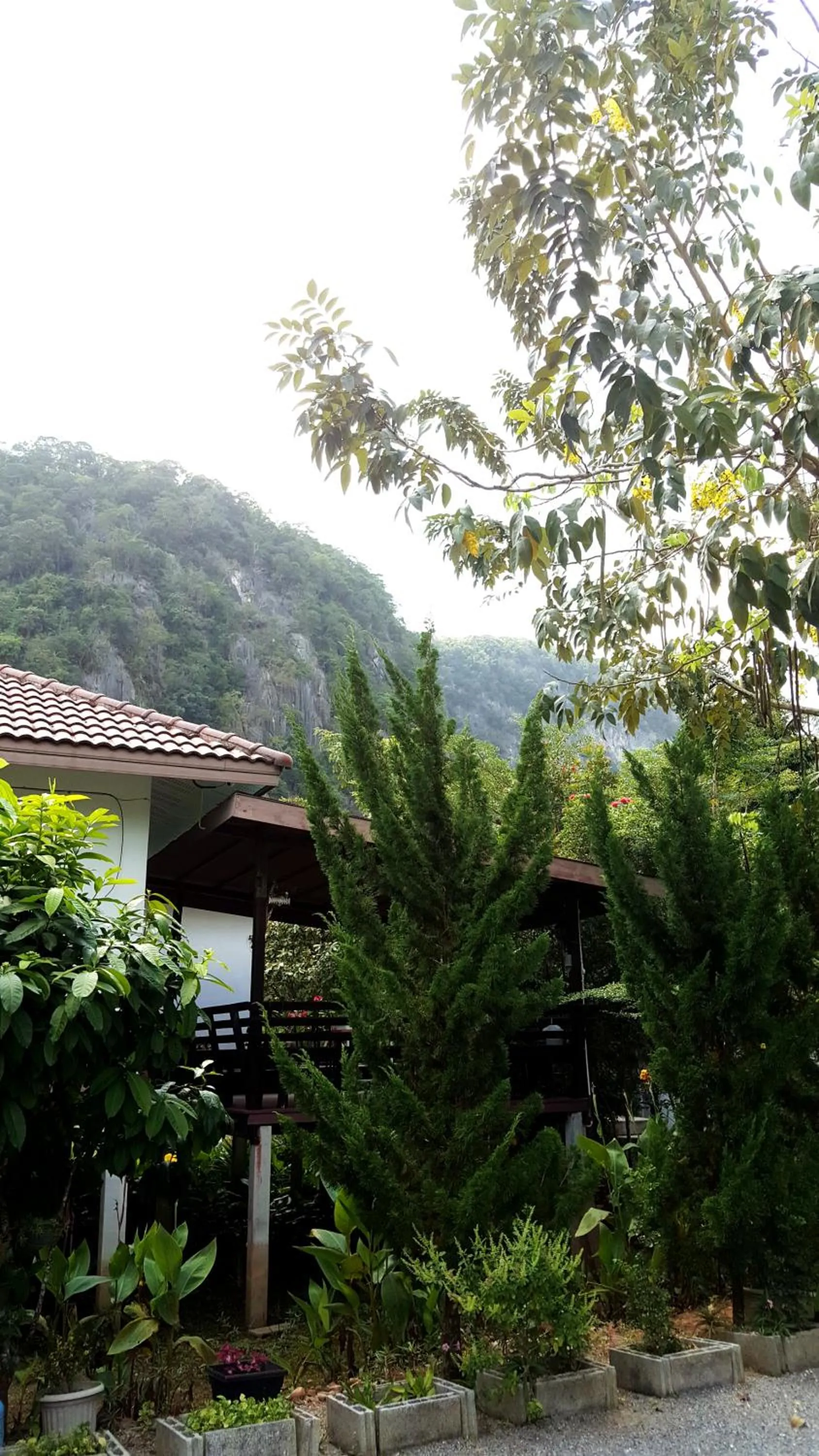 Natural landscape in Sanfhan Resort-SHA Plus