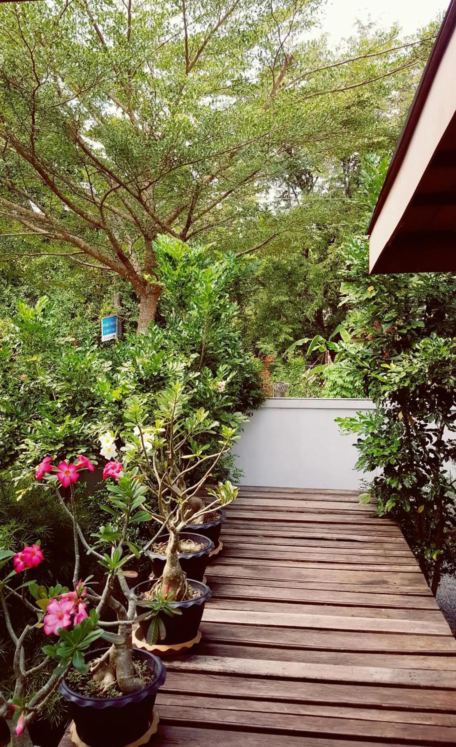 Facade/entrance in Sanfhan Resort-SHA Plus Facade/entrance in Sanfhan Resort-SHA Plus