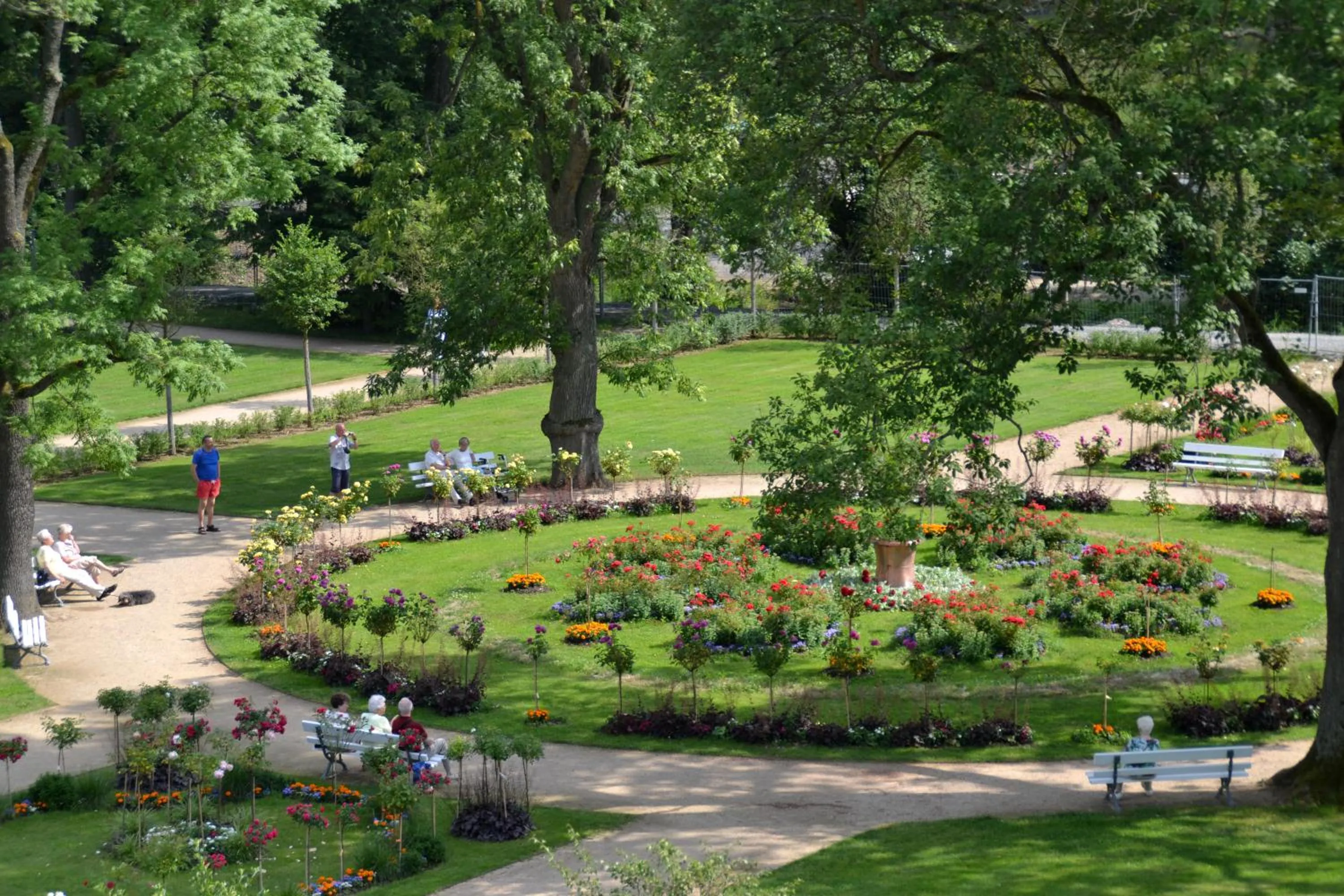 Natural landscape in Hotel Central