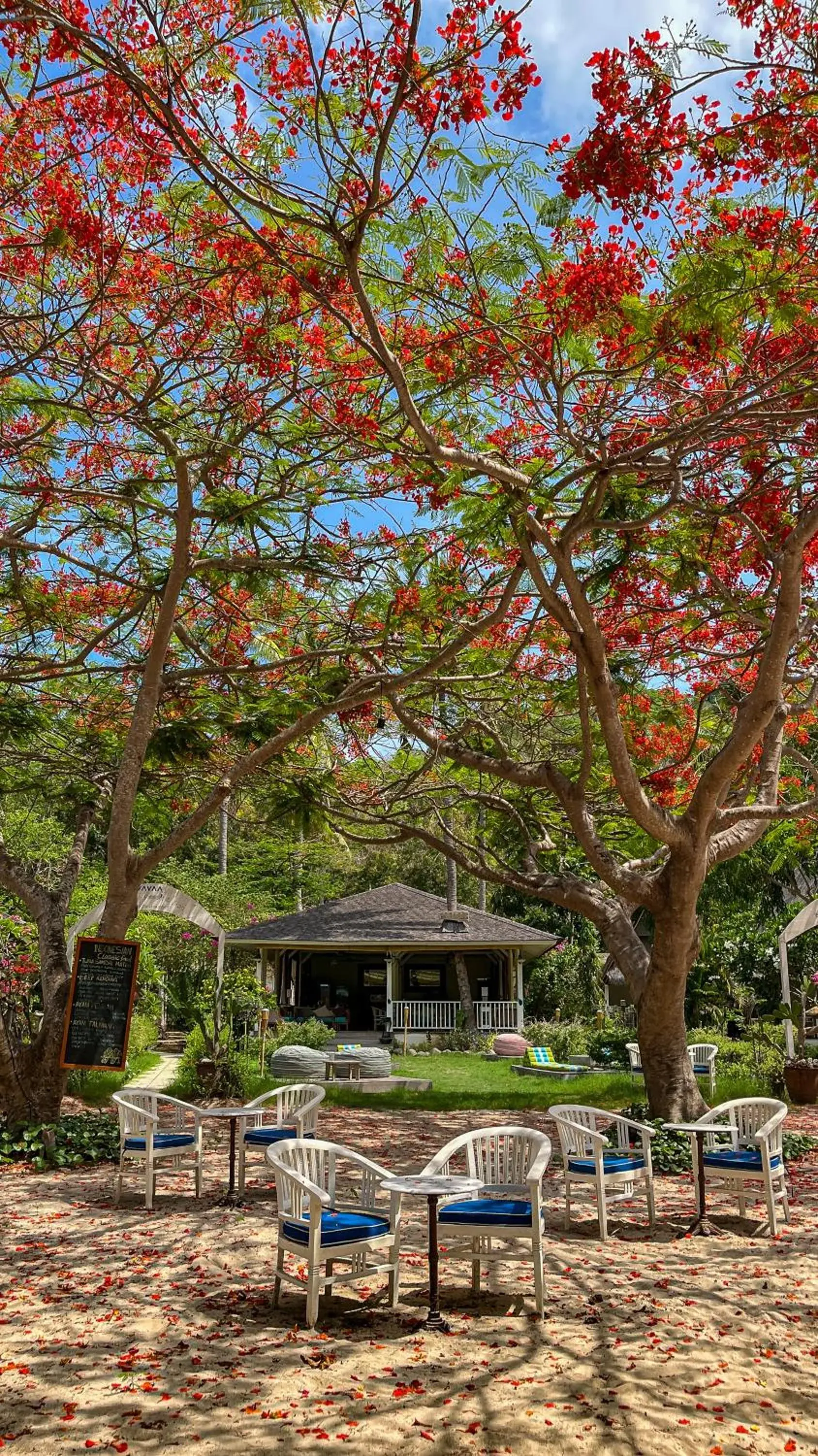 Restaurant/places to eat in Vayam Boutique Resort Gili Asahan Restaurant/places to eat in Vayam Boutique Resort Gili Asahan