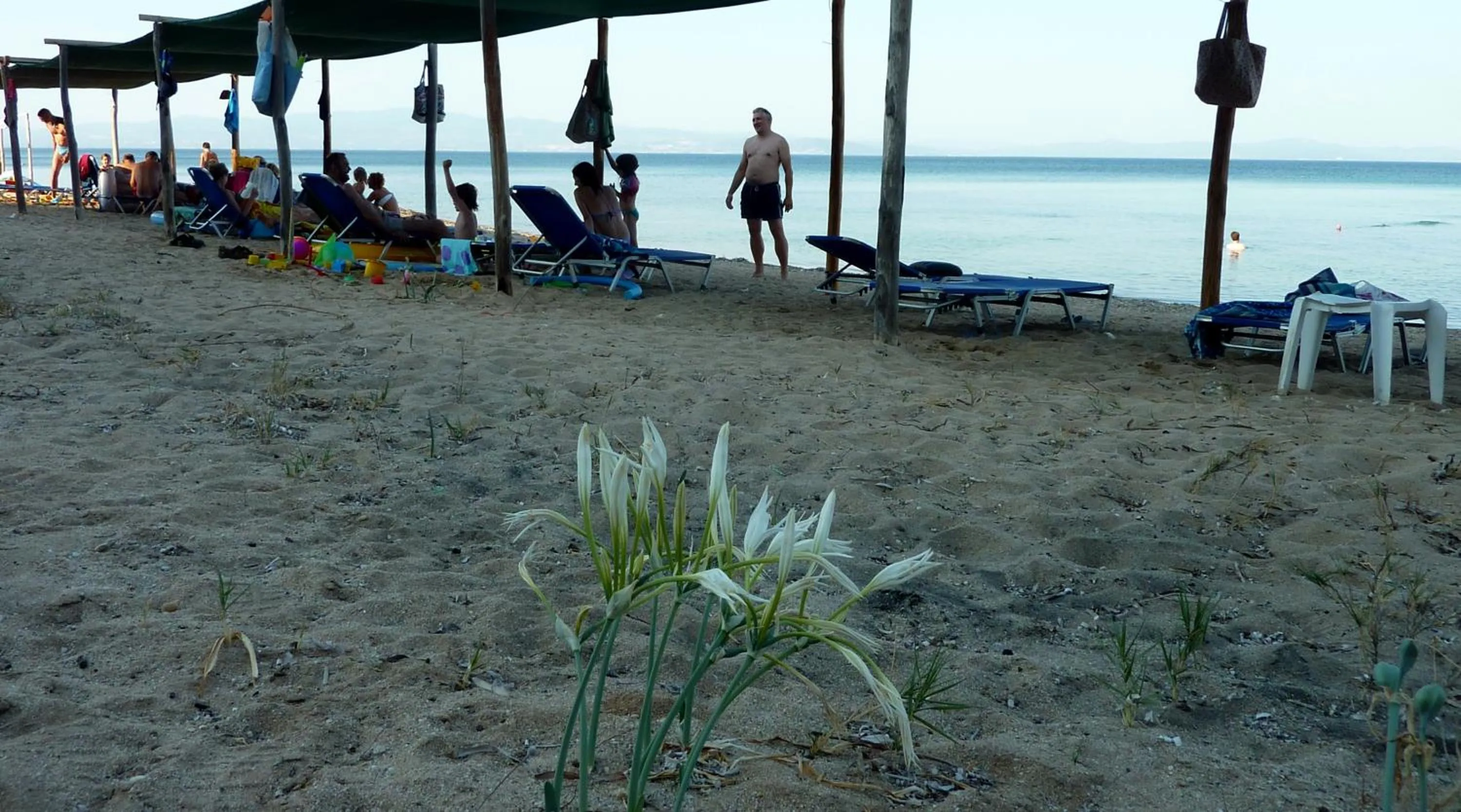 Beach in Villa Oasis