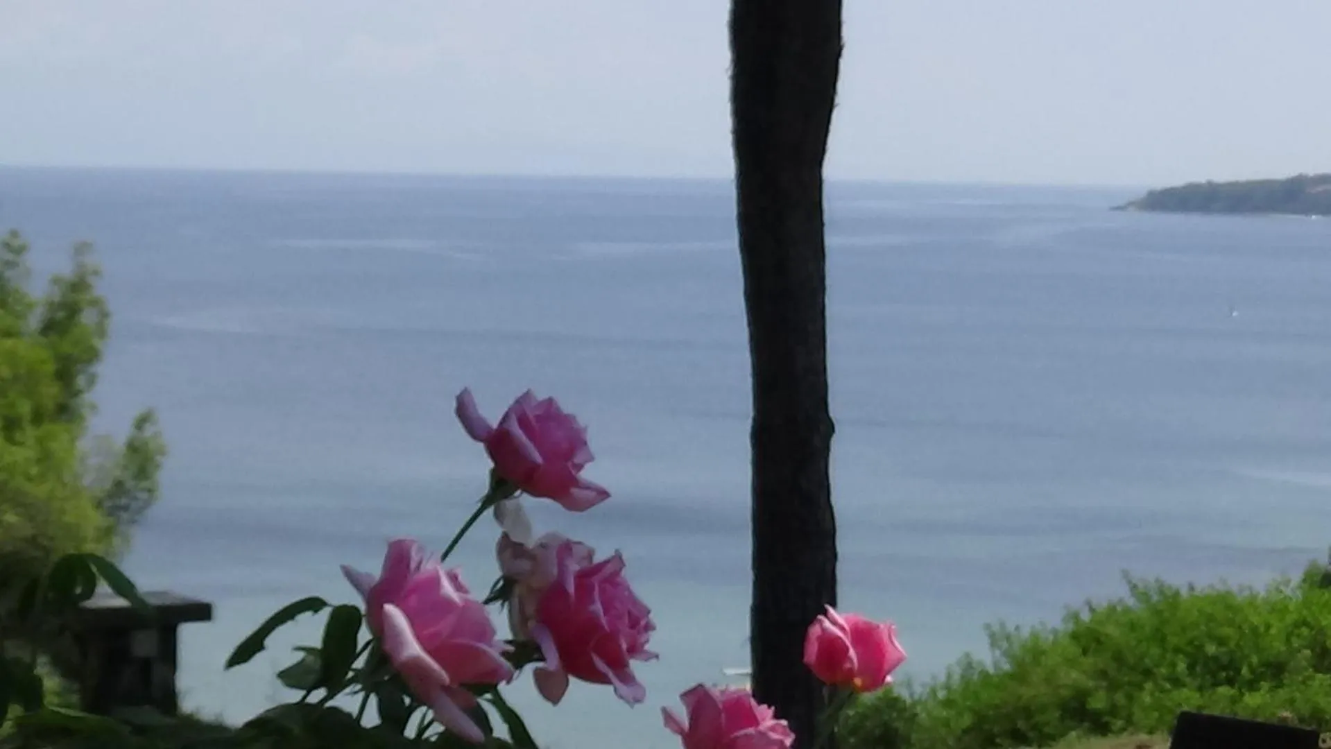 Sea view in Villa Oasis