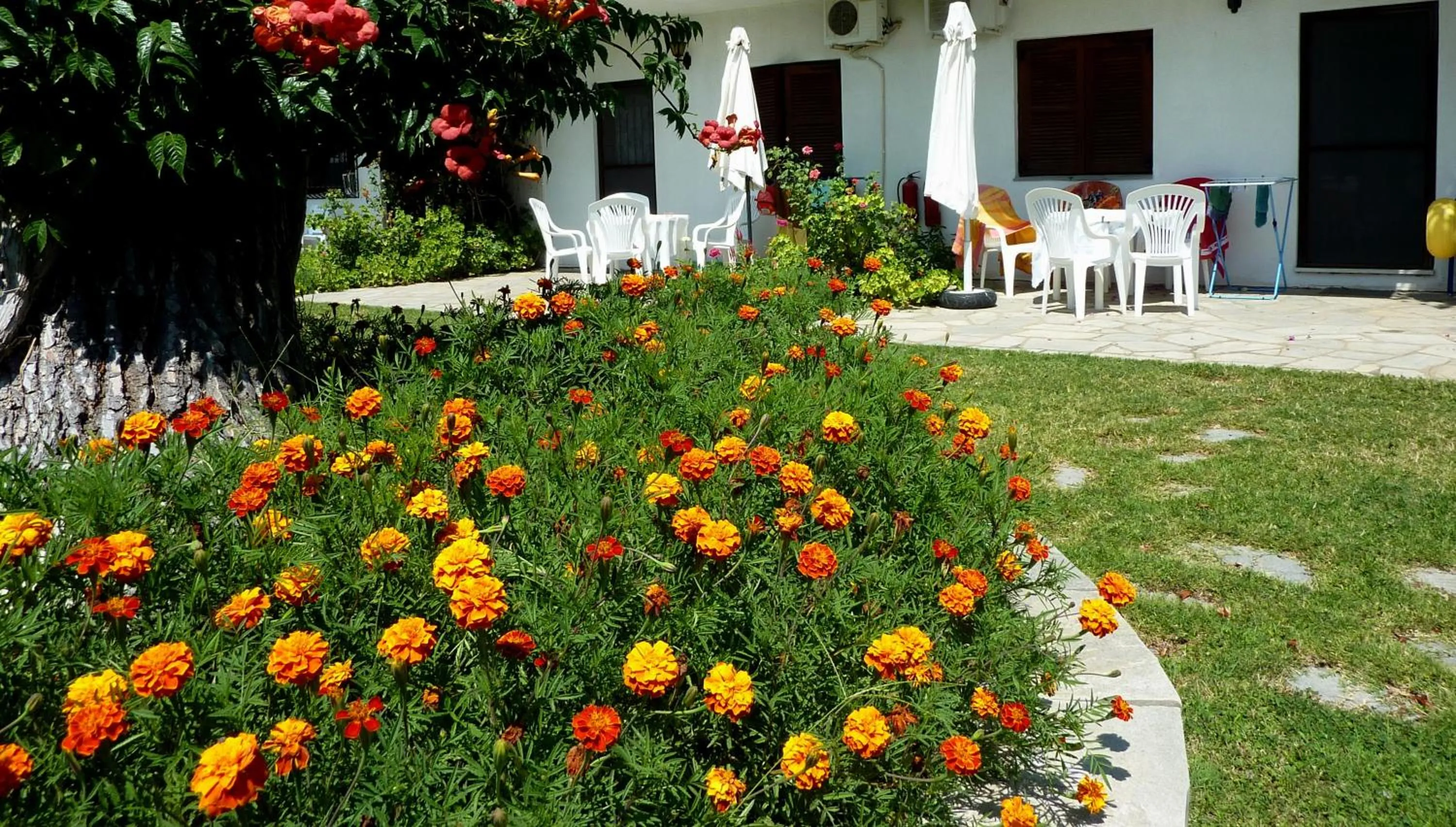 Patio in Villa Oasis