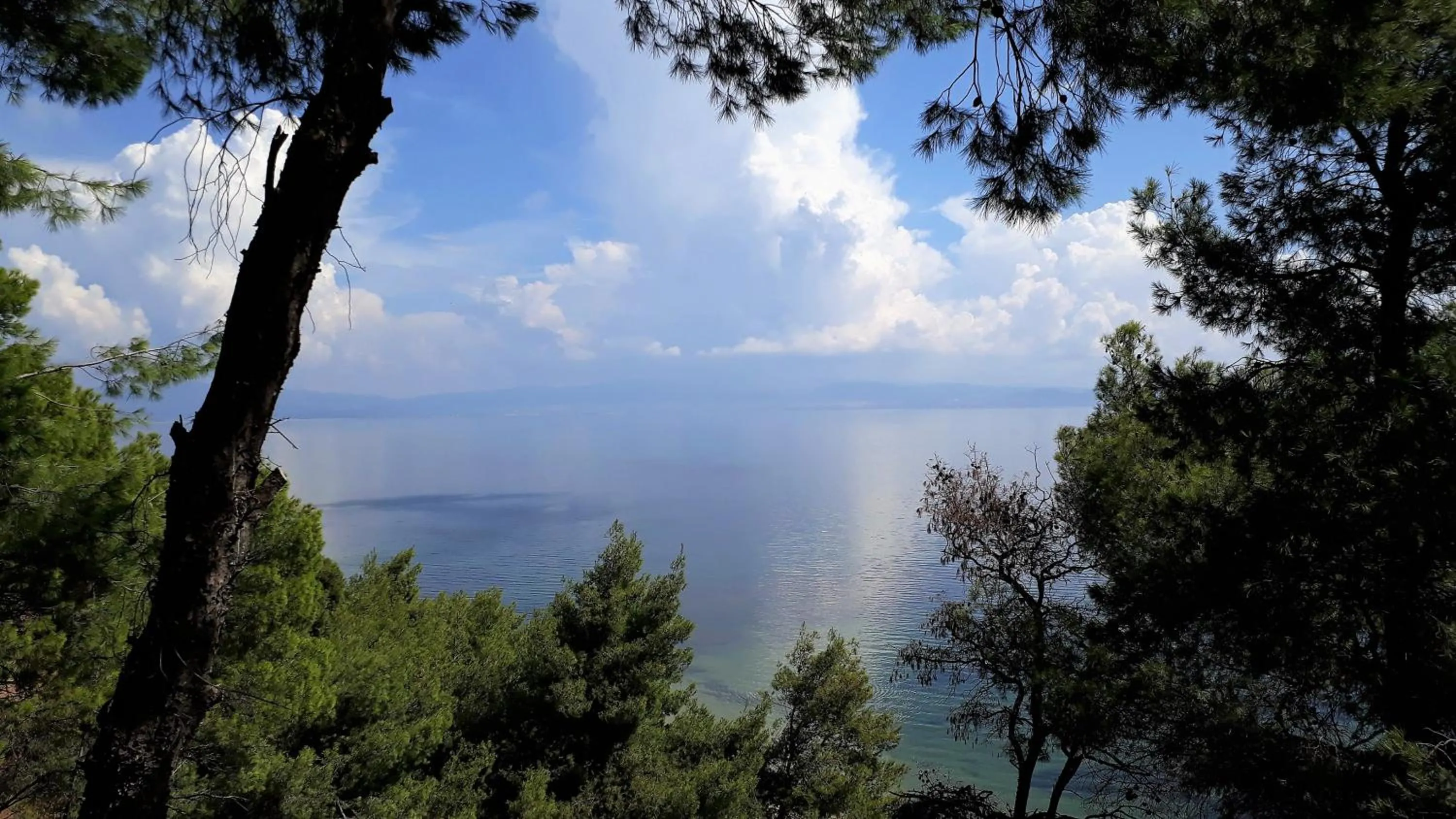 Sea view in Villa Oasis