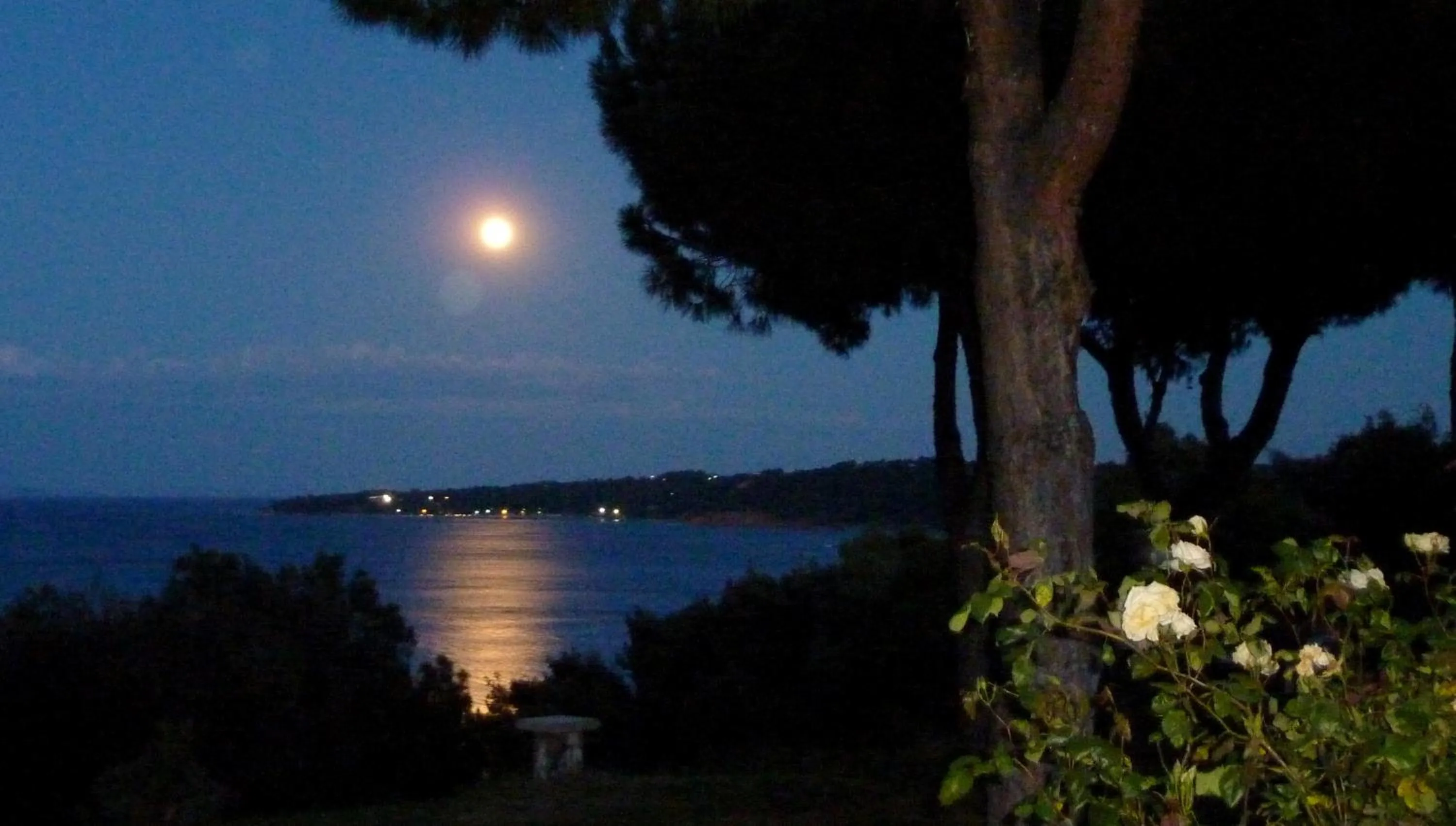 Sea view in Villa Oasis