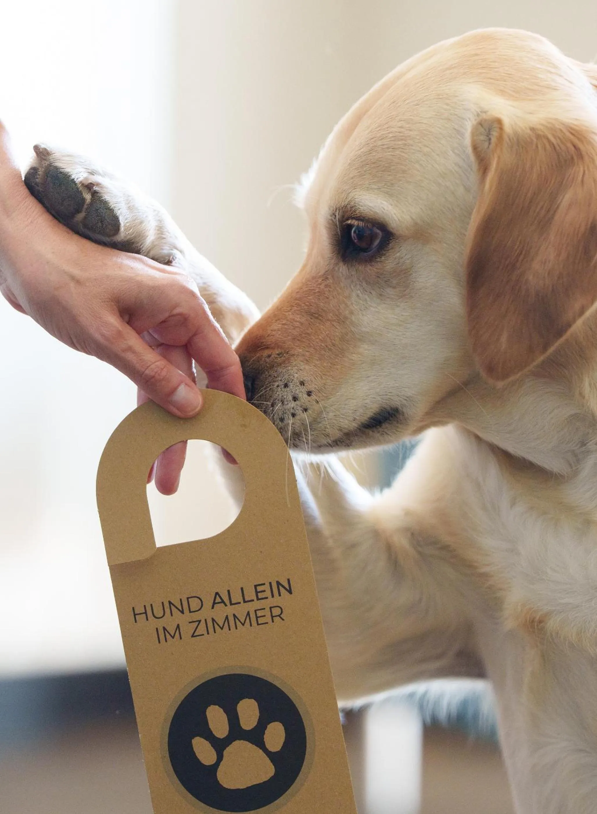 pet friendly in THE GREEN Rostock Apartment Hotel