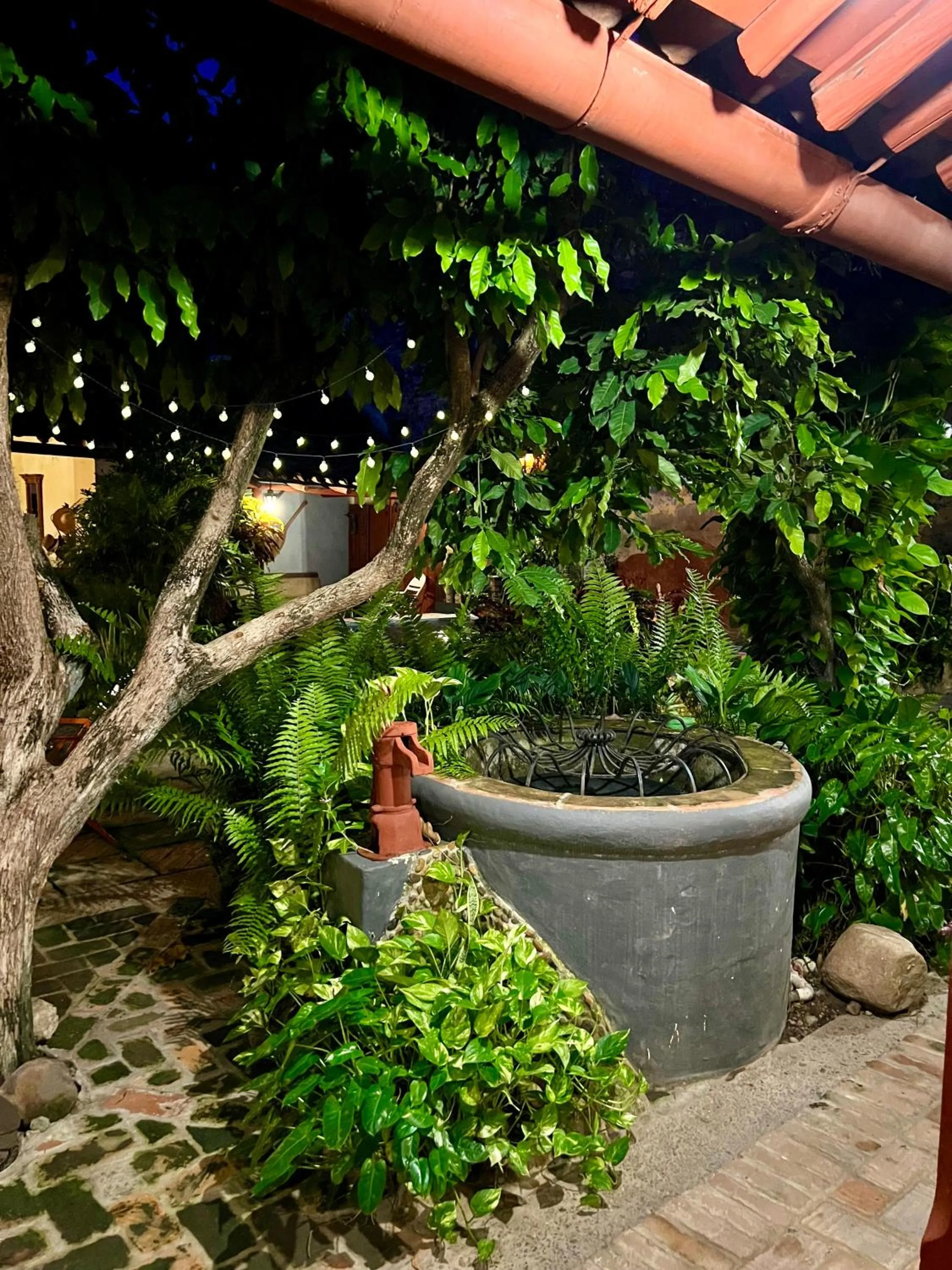 Garden in CASA SINNING-año1637