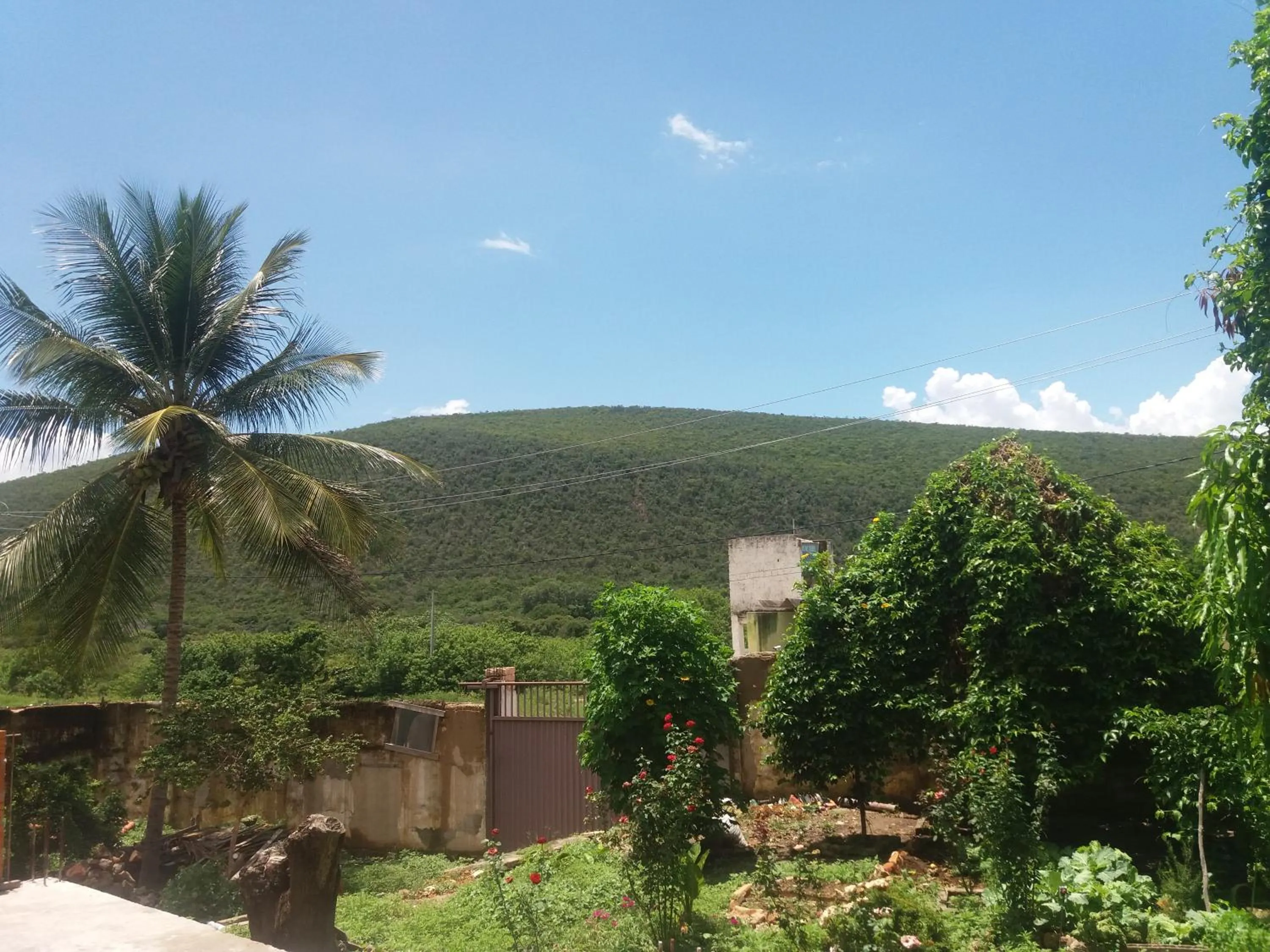 Garden view in Hotel e Pousada O Casarão