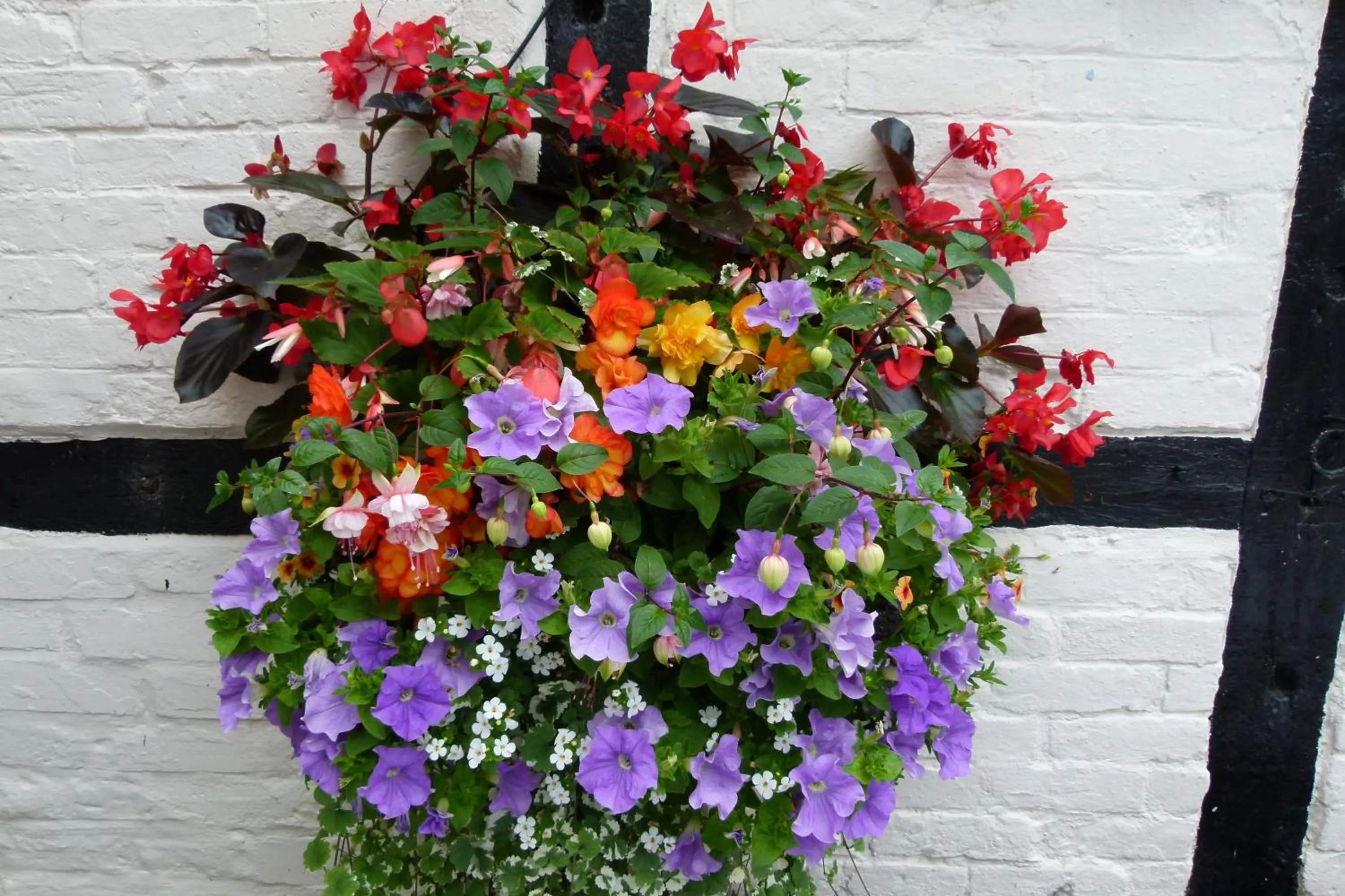 Garden in The Talbot Hotel