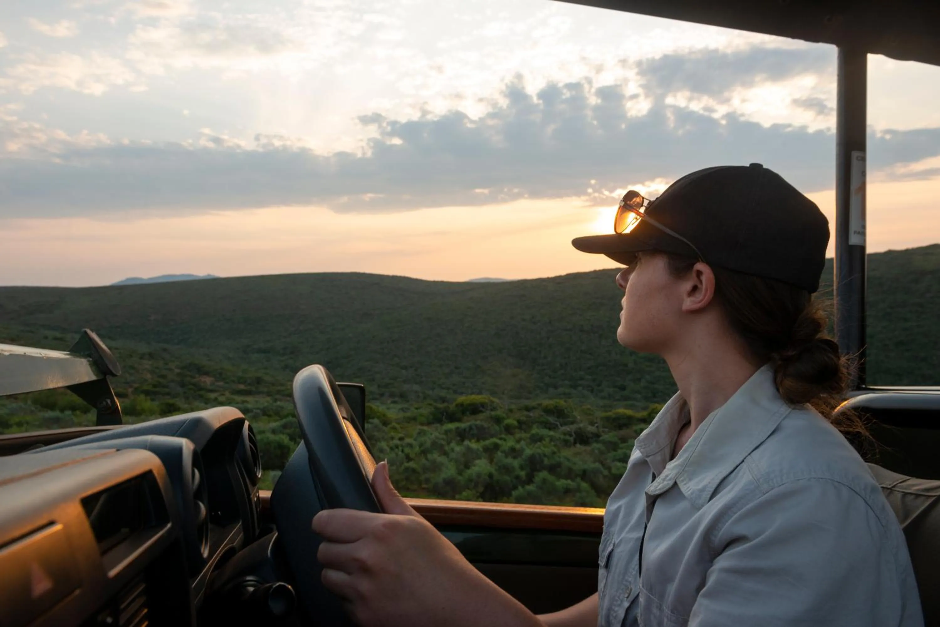 Day in Nyosi Wildlife Reserve