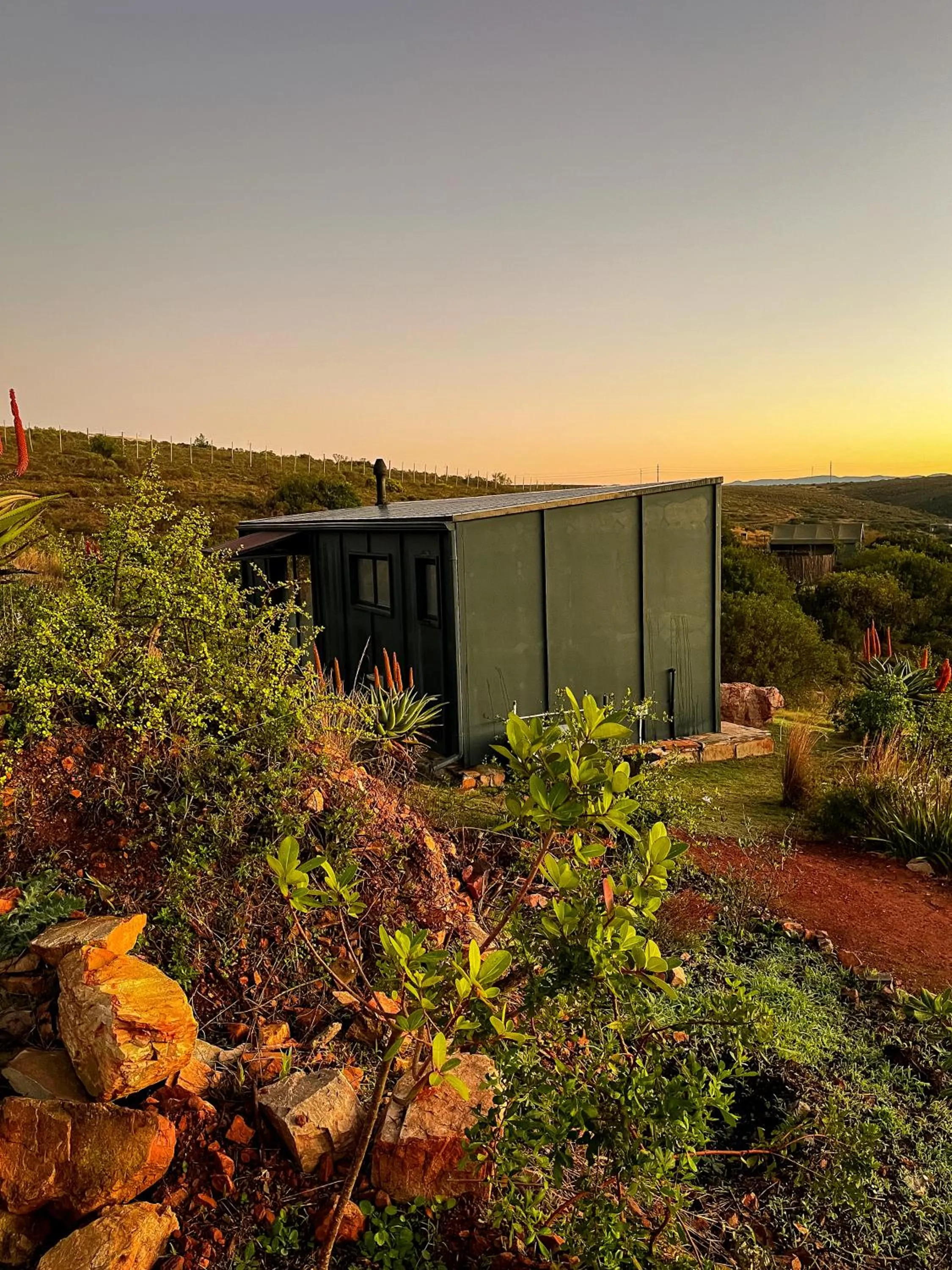 Spring in Nyosi Wildlife Reserve