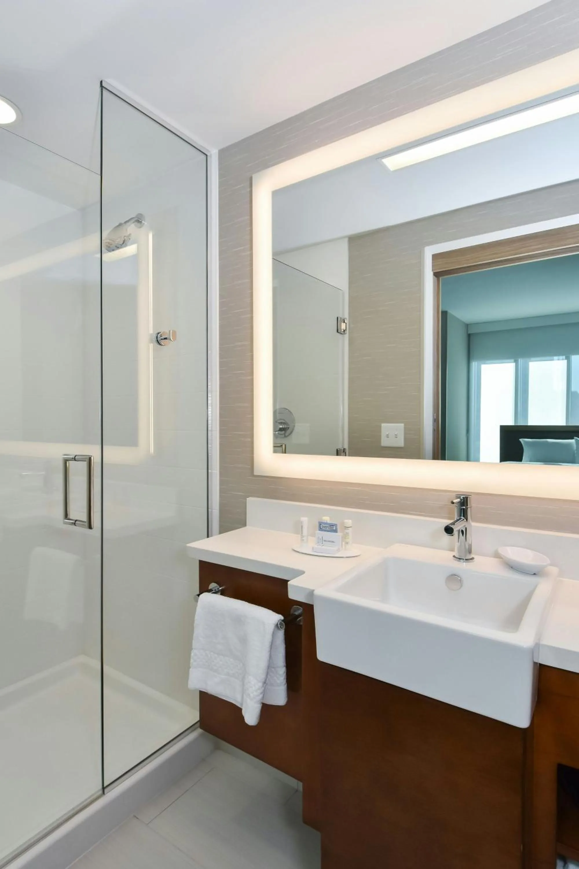 Bathroom in SpringHill Suites by Marriott Charlotte City Center