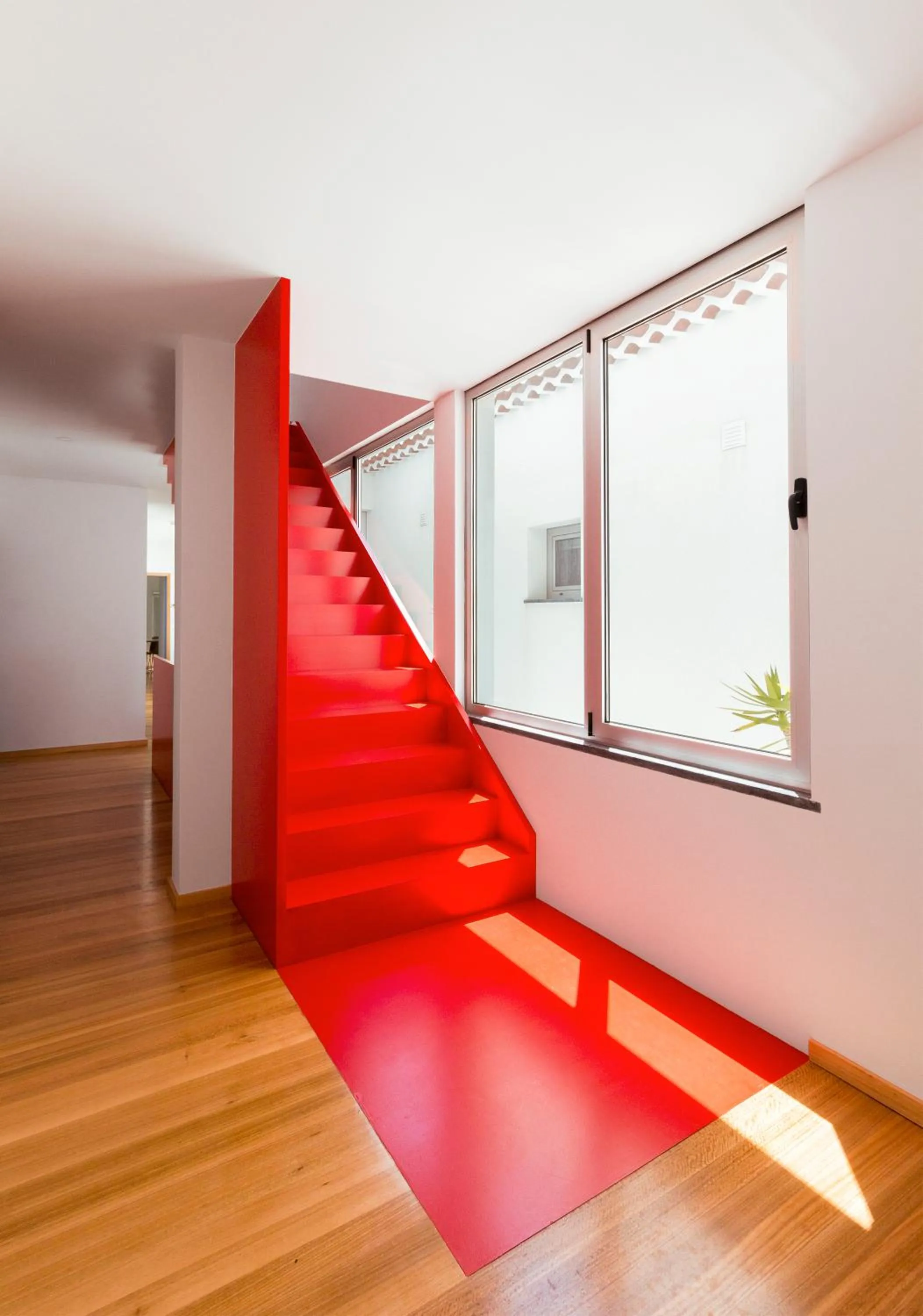 Area and facilities in Lofts Azul Pastel