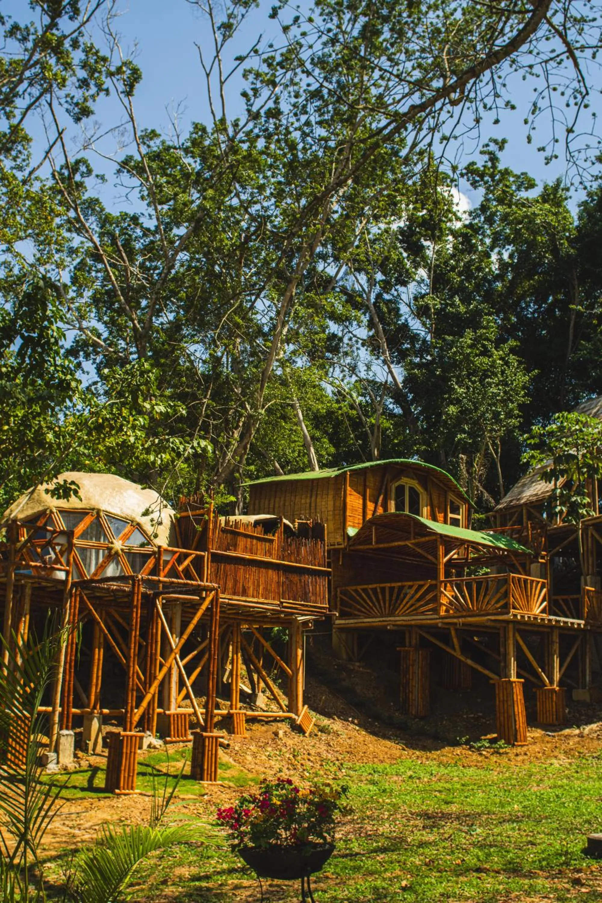 Natural landscape in Eco Hotel Villa Martha