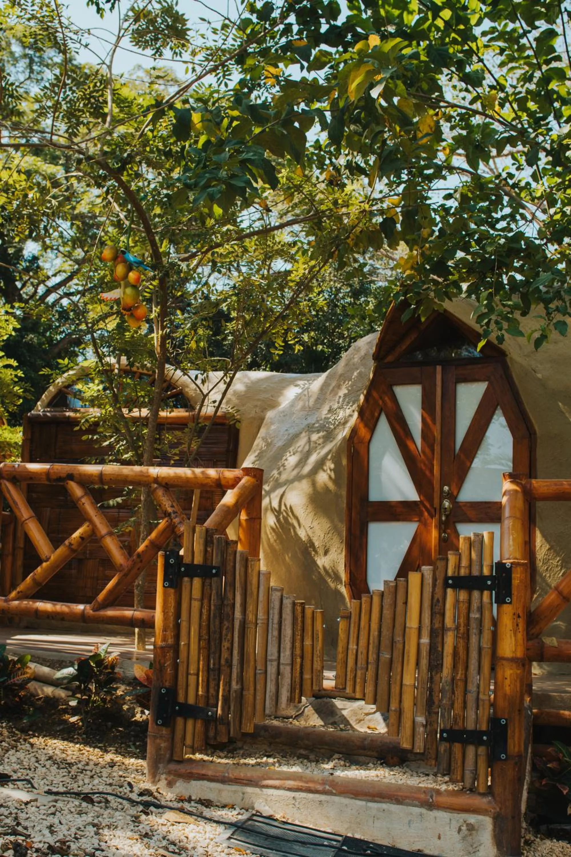 Area and facilities in Eco Hotel Villa Martha