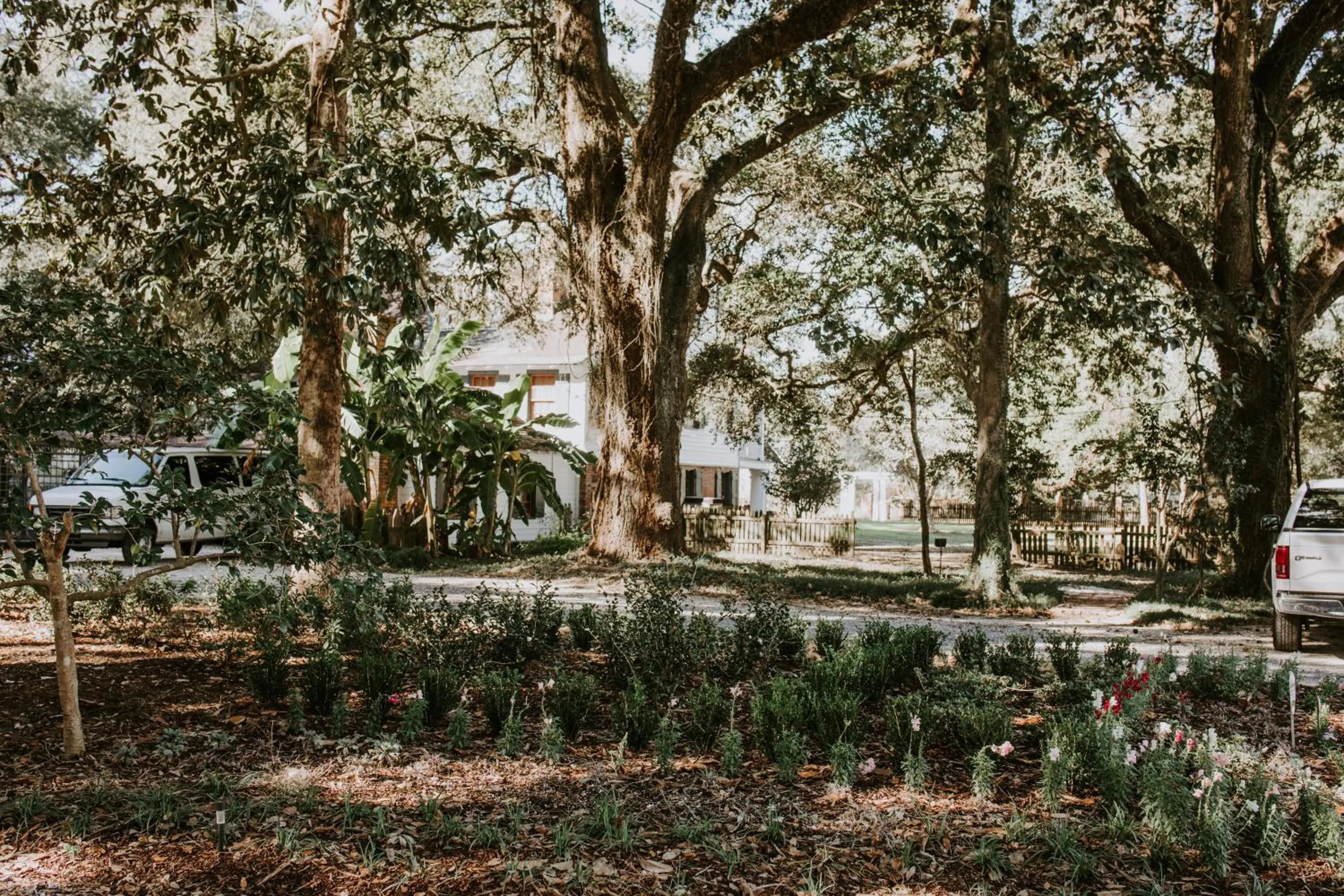 Maison Mouton Bed & Breakfast