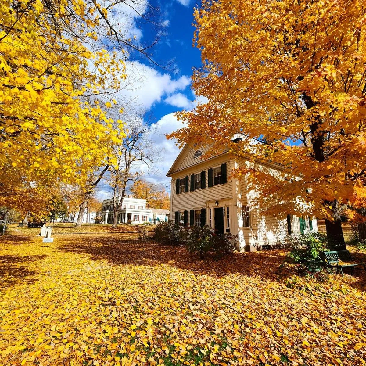 Property building in Arlington Inn & Spa